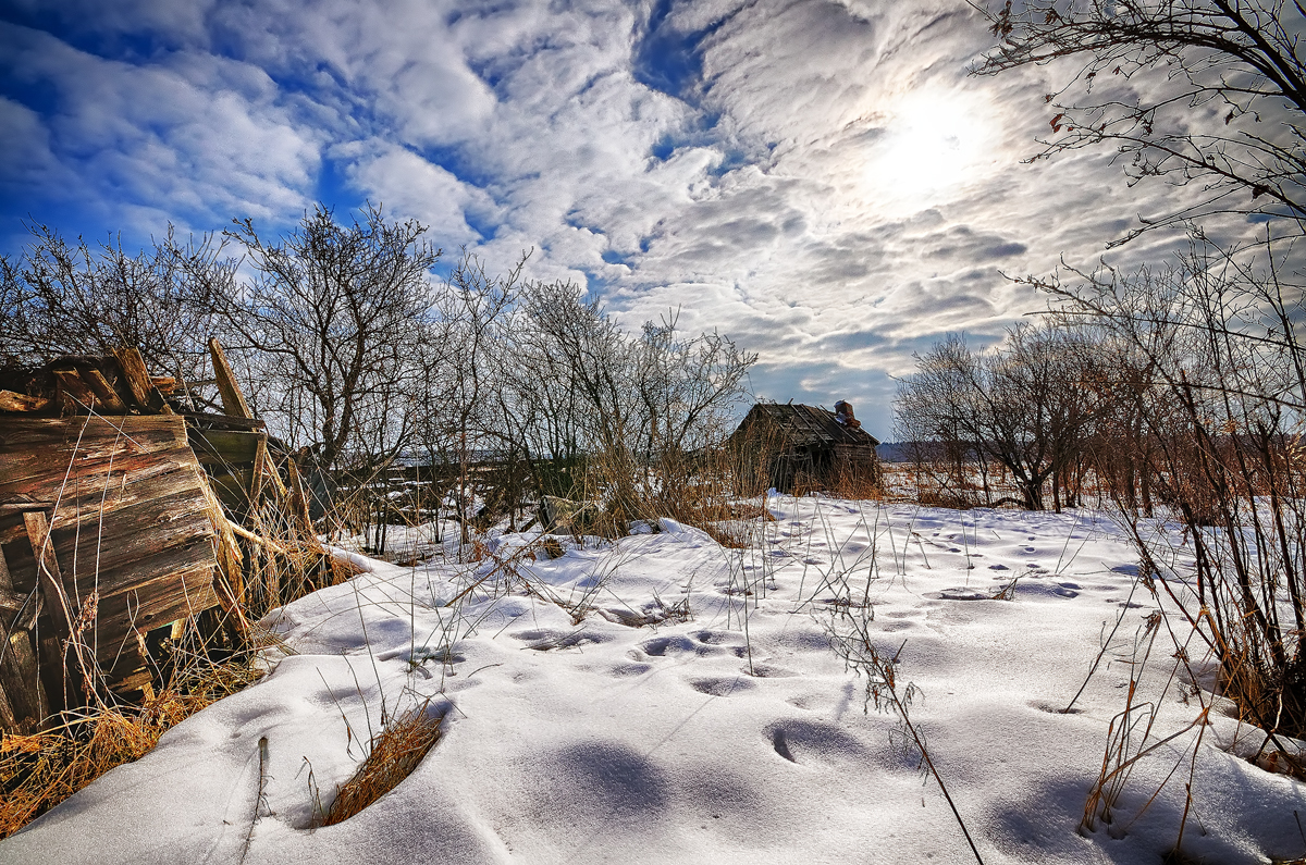 Winter sun - My, The photo, Winter, Longpost