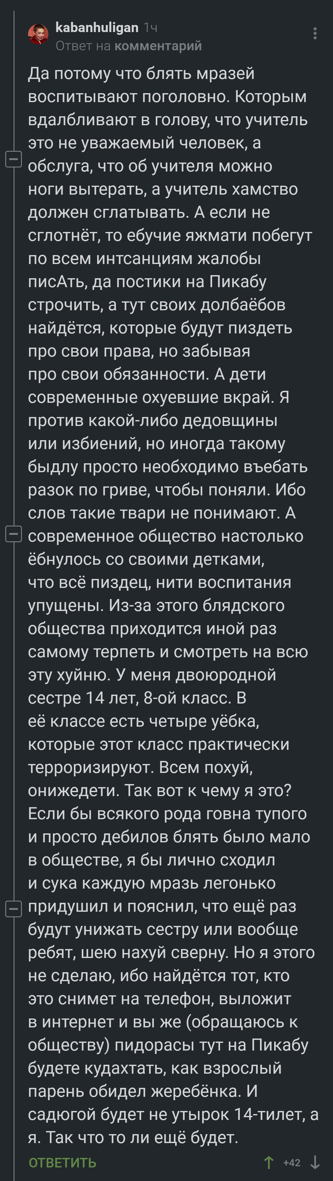 К сожалению 2 - Скриншот, Комментарии на Пикабу, Мат, Школа, Длиннопост, Негатив