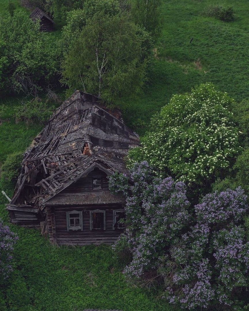 опустевший дом во сне (95) фото