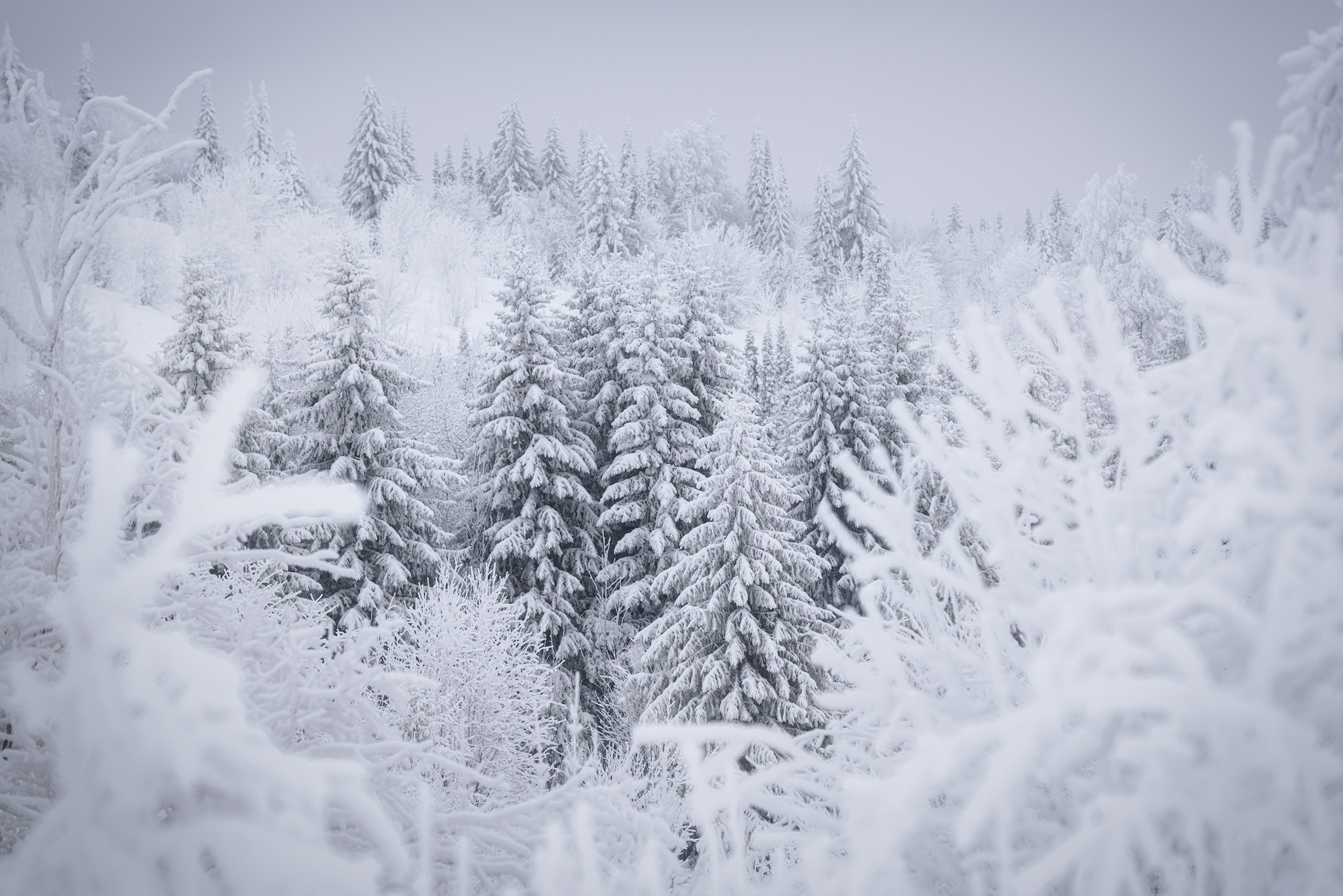 Visiting a fairy tale - My, Perm Territory, Landscape, Winter, Longpost