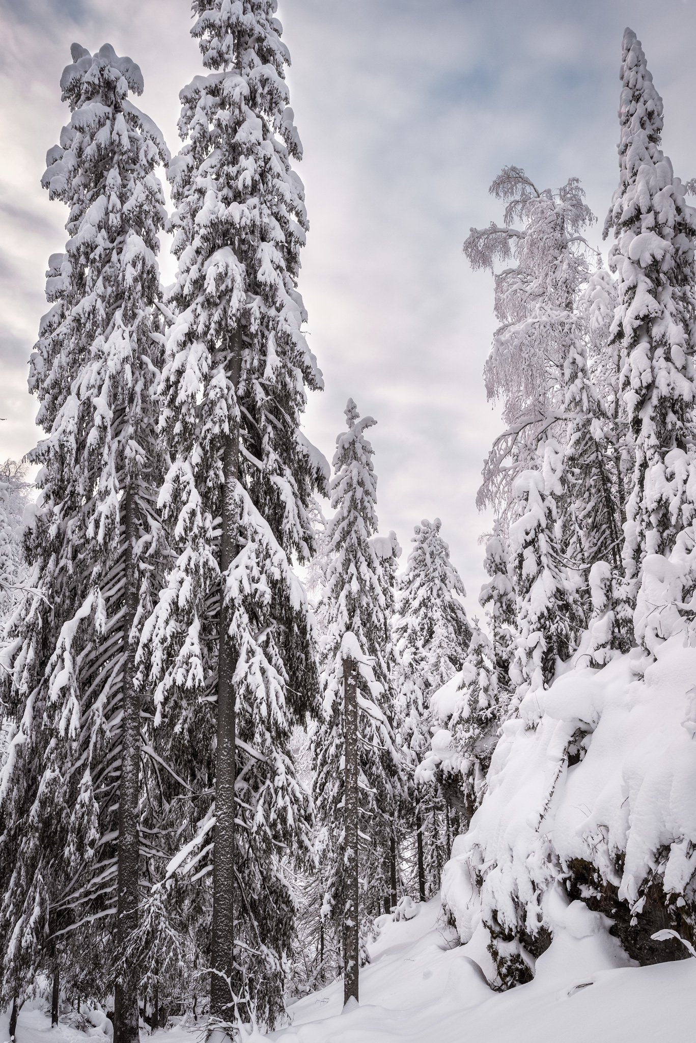 Visiting a fairy tale - My, Perm Territory, Landscape, Winter, Longpost