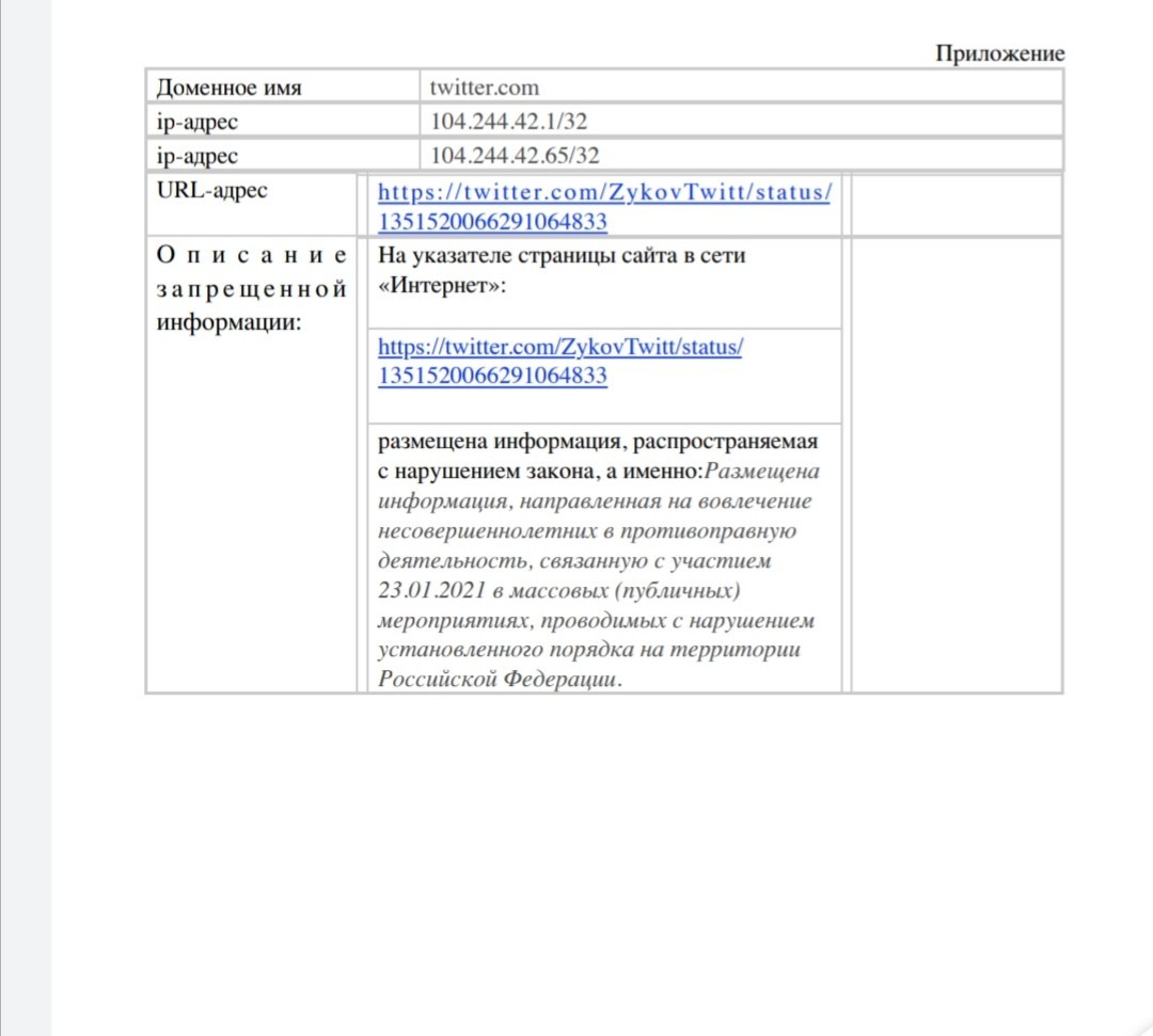 Роскомнадзор просит заблокировать мой твиттер - Моё, Алексей Навальный, Кострома, Зыков, Митинг, Политика, Длиннопост