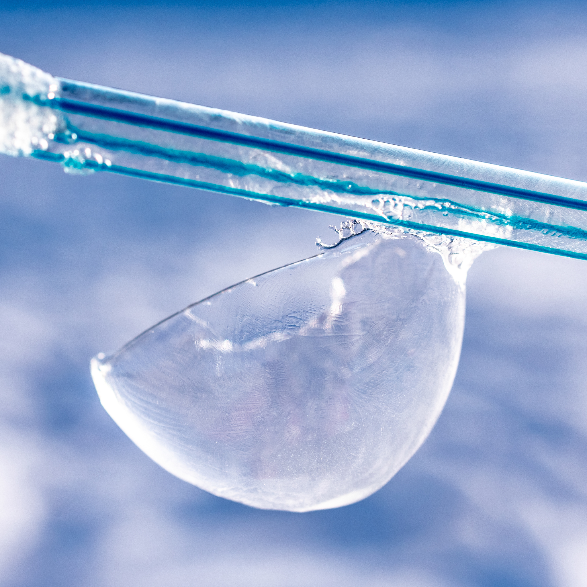 Soap bubbles in the cold - My, Bubble, Winter, Nikon d3400, Nikon, Macro, Macro photography, Longpost, The photo