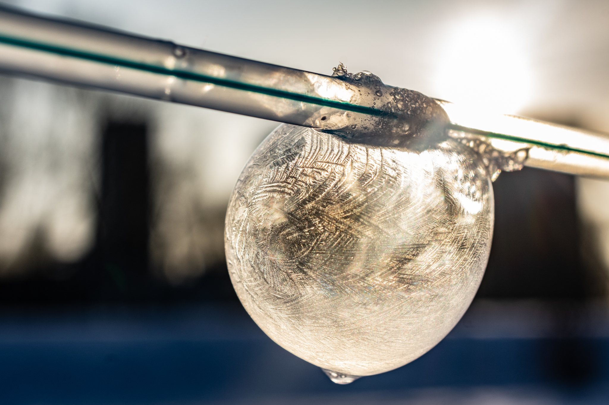 Soap bubbles in the cold - My, Bubble, Winter, Nikon d3400, Nikon, Macro, Macro photography, Longpost, The photo