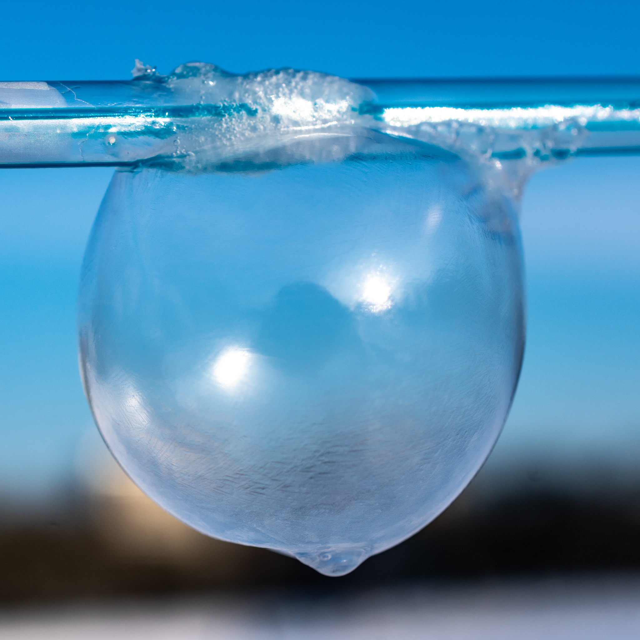 Soap bubbles in the cold - My, Bubble, Winter, Nikon d3400, Nikon, Macro, Macro photography, Longpost, The photo