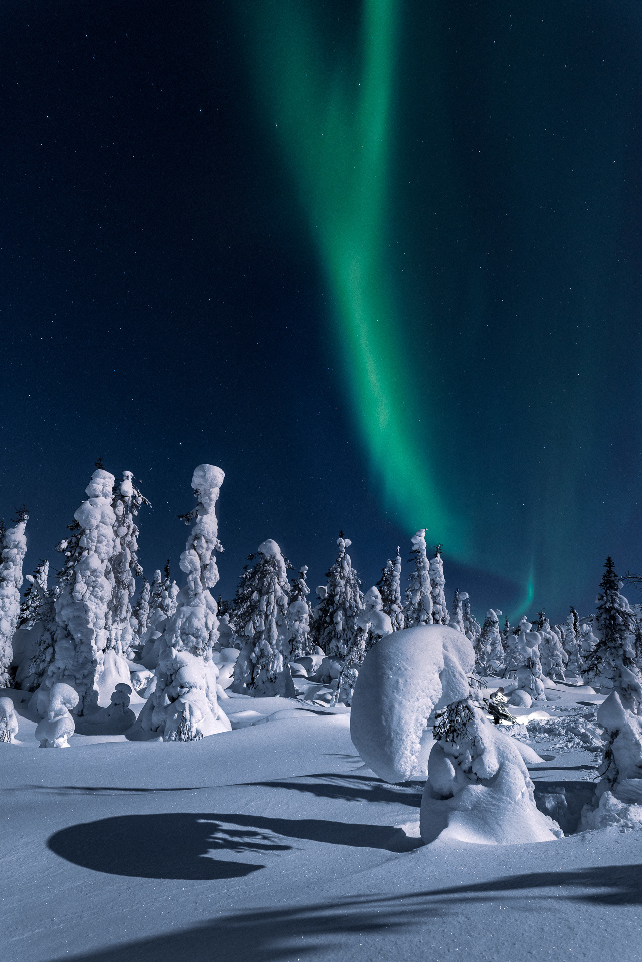 In the moonlight - My, Polar Lights, North Aurora, Winter, Landscape, Night, The photo, Longpost