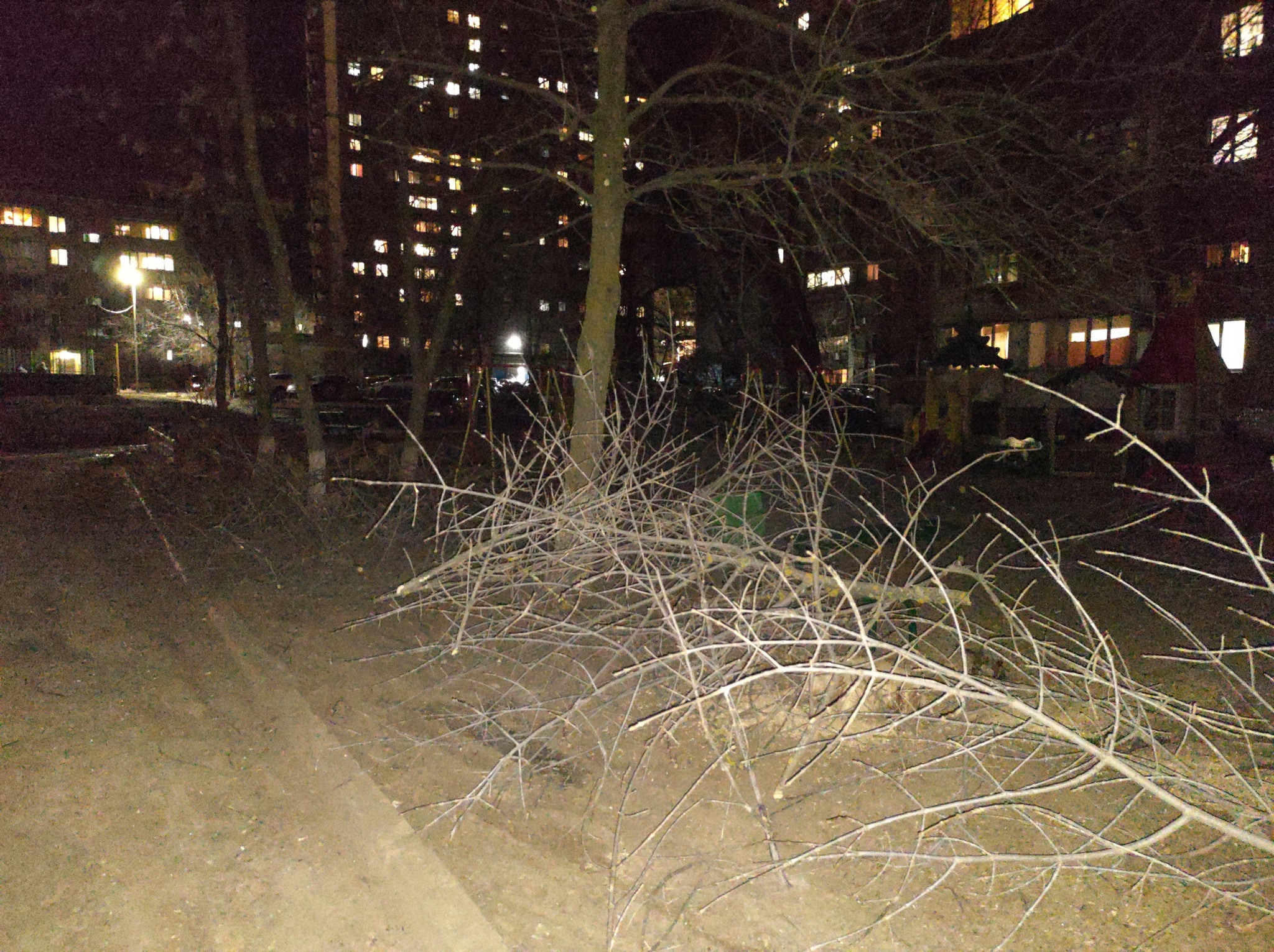 Clean up after yourself? Haven’t you heard...tree cutting in Volgodonsk... - My, Negative, Dirt, Night, Longpost