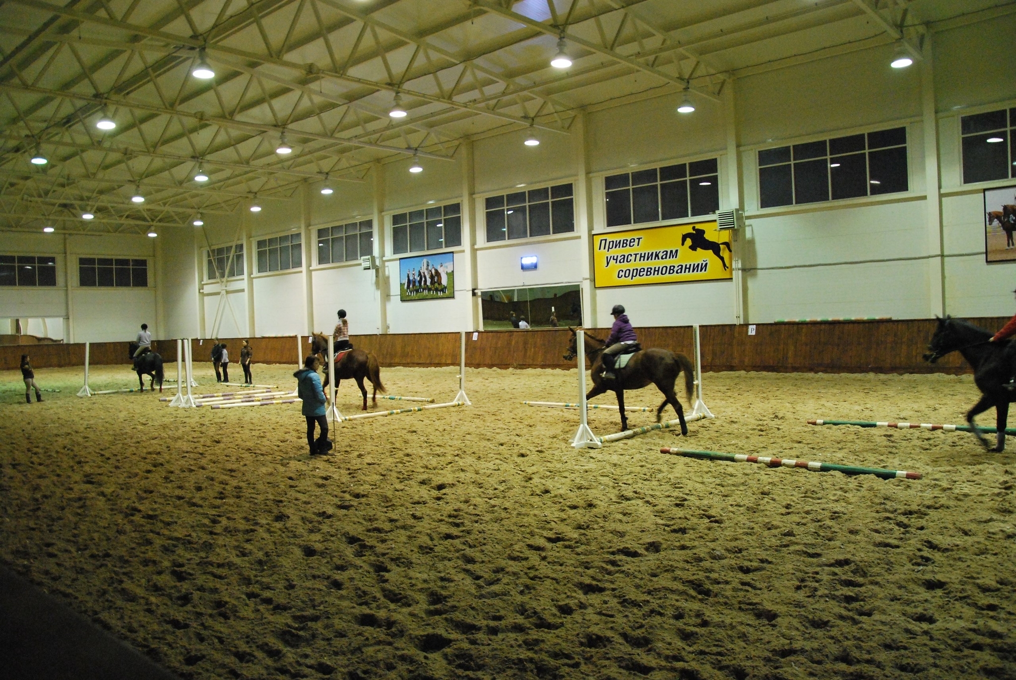 Classes at the Sports and Youth Sports School - what are they really like? - My, Horseback Riding, Horseback riding, Longpost, Horses