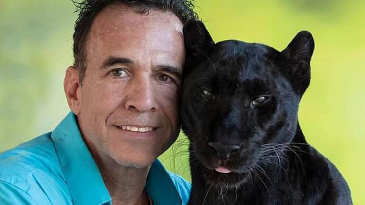 The man paid for contact with the panther and entered the cage - Leopard, Big cats, USA, Darwin Prize, Stupidity, Black Panther, Twitter, Comments, Screenshot, Panther, Longpost