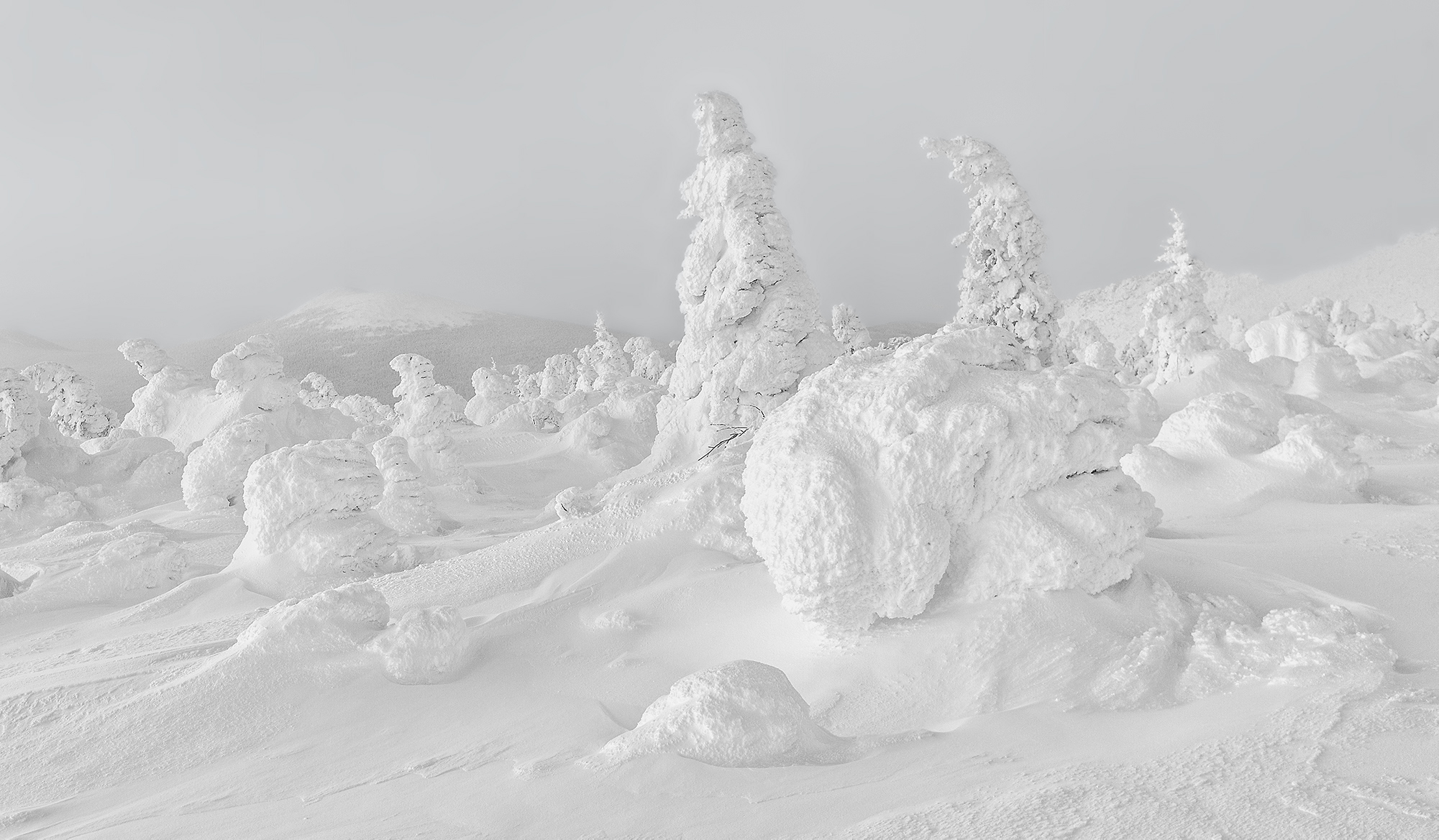 Marshmallow. Dalny Taganay - My, Taganay, Snow, Southern Urals, Winter, The photo