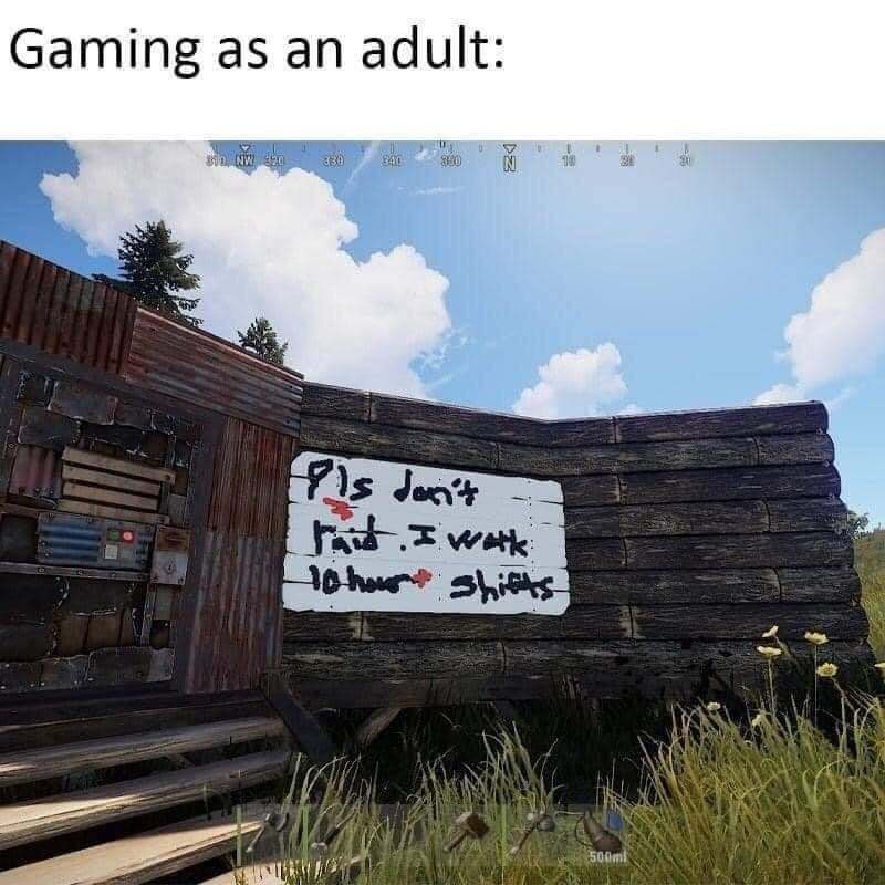 Games when you're an adult - Computer games, Rust