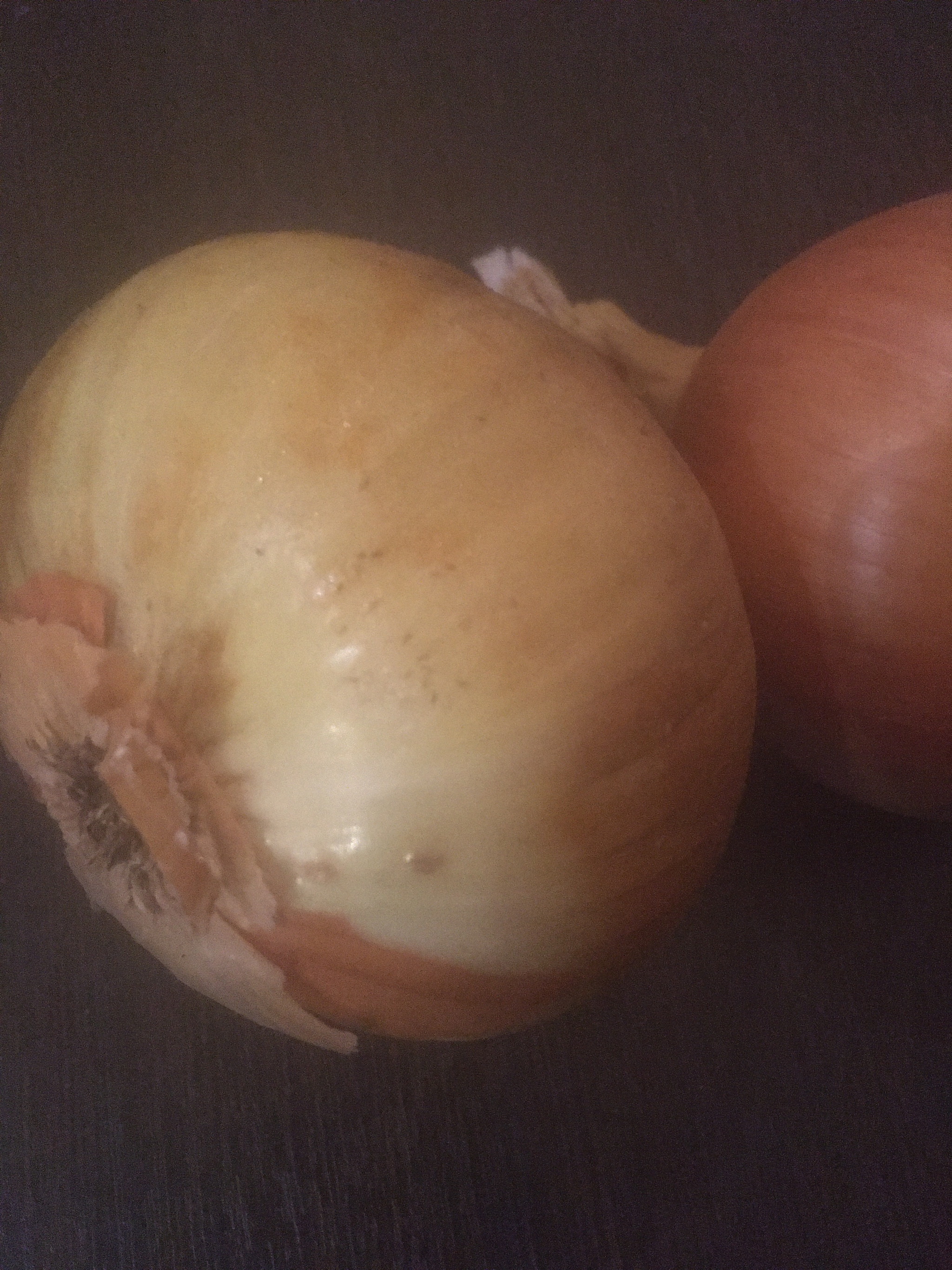 Onion fly? - My, Agronomy, Gardening, Gardener, Longpost