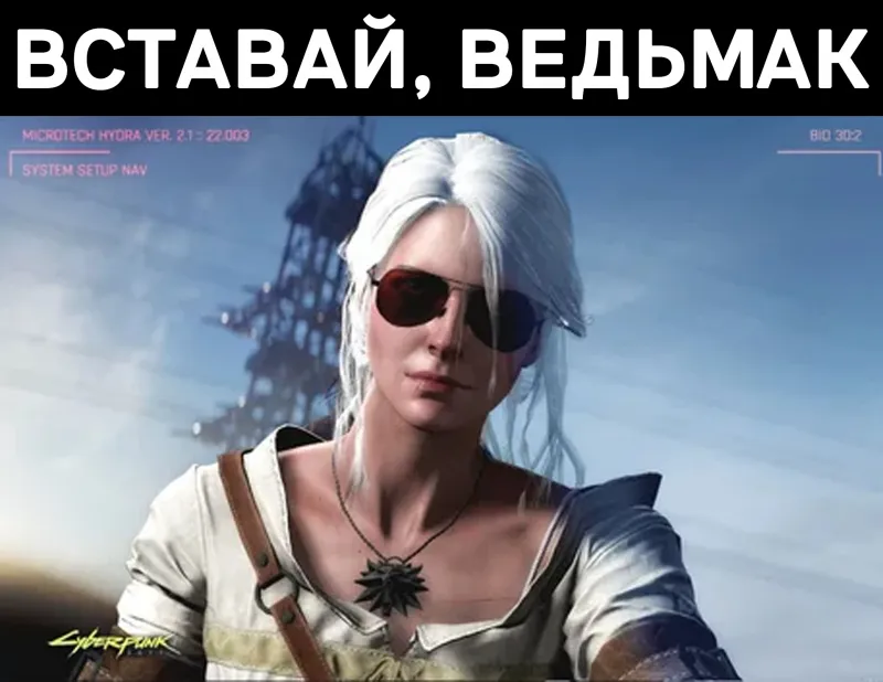 When it's time to fight the wild hunt© - The Witcher 3: Wild Hunt, Ciri, Witcher, Cyberpunk 2077, Picture with text, Humor