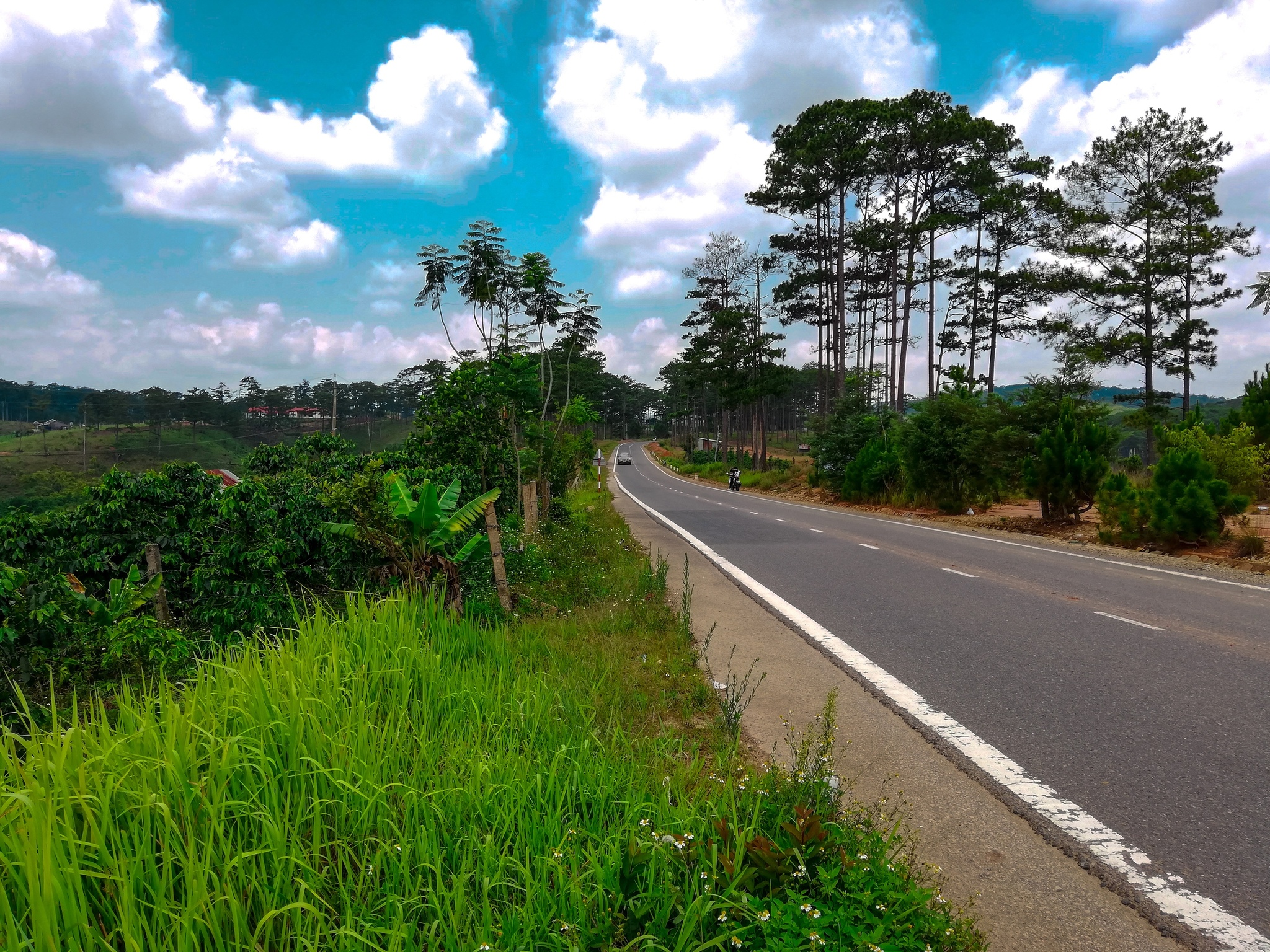 Wild cold in the mountains of Dalat and a blue lake. South Vietnam part 1 - My, Longpost, Vietnam, Asia, Adventures, Travels, The mountains, beauty, Dalat, Mobile photography, Video, Girls