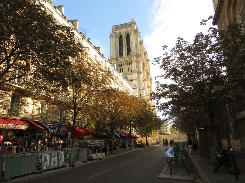 Paris is not fancy - My, The photo, Paris, Notre dame cathedral, Travels, Longpost