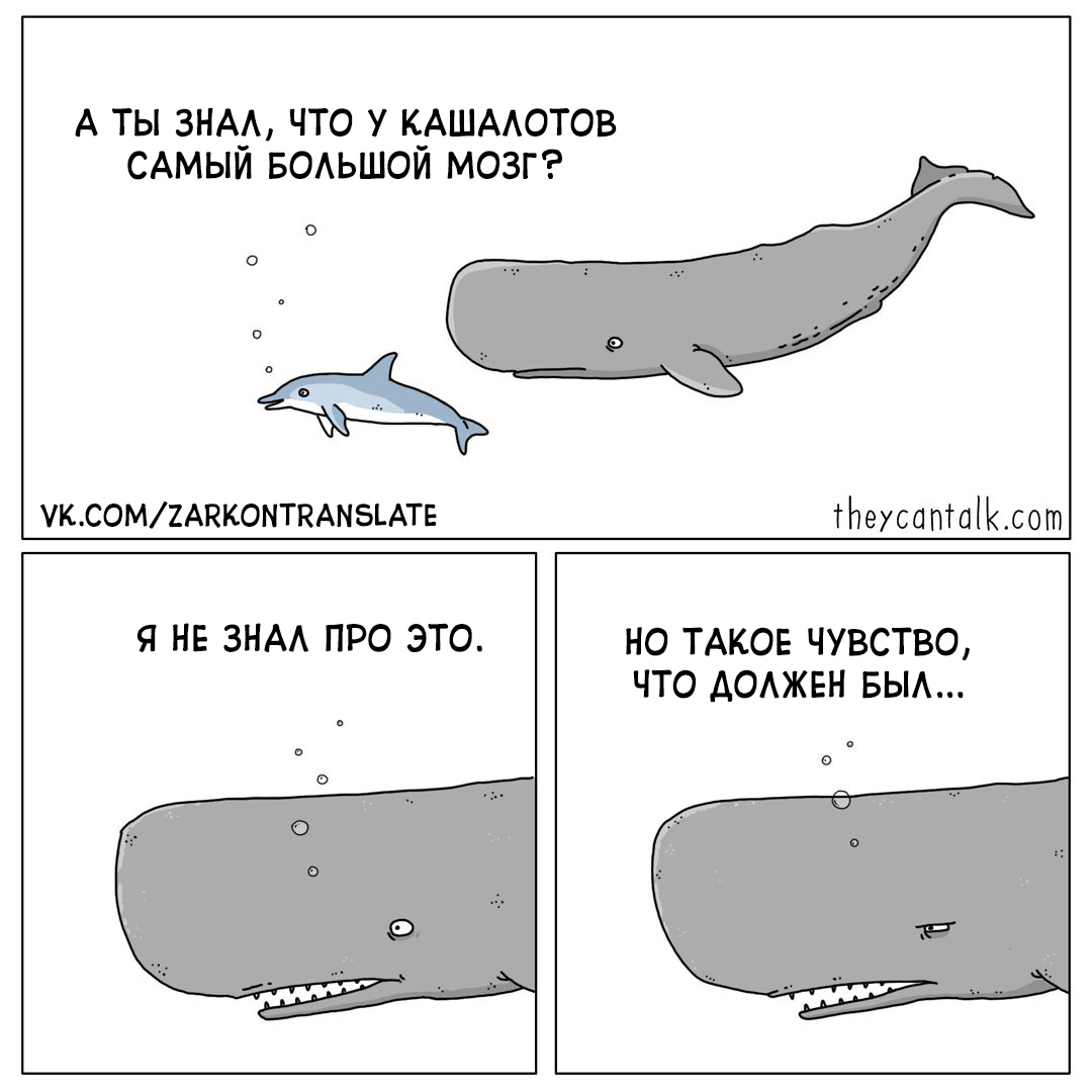 Brain - Theycantalk, Comics, Translation, Sperm whale