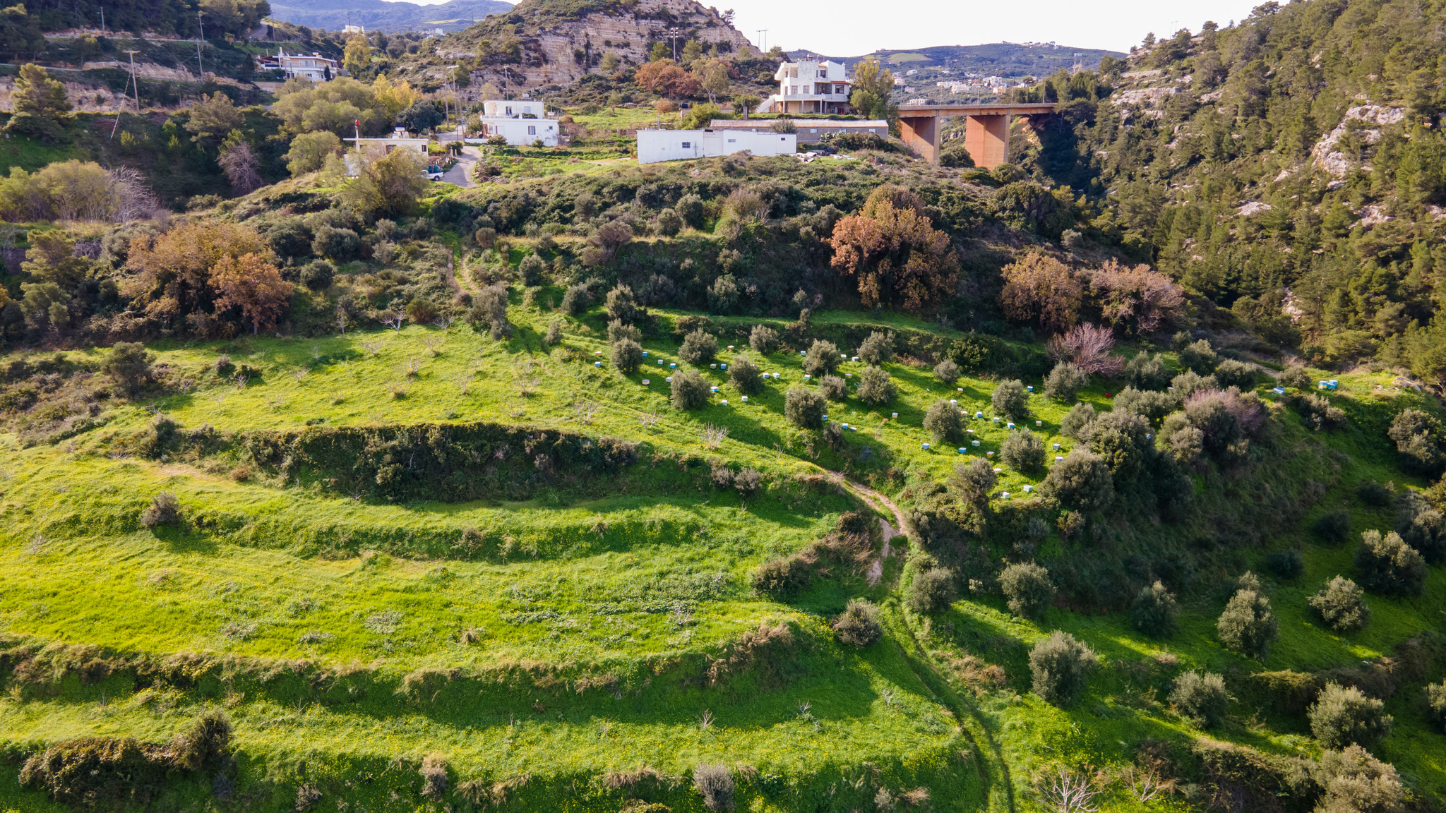 Bee hives from a drone - My, Hive, Bees, Rethymnon, Crete, Dji, DJI Mavic, Drone, The photo, Greece, Island, Longpost