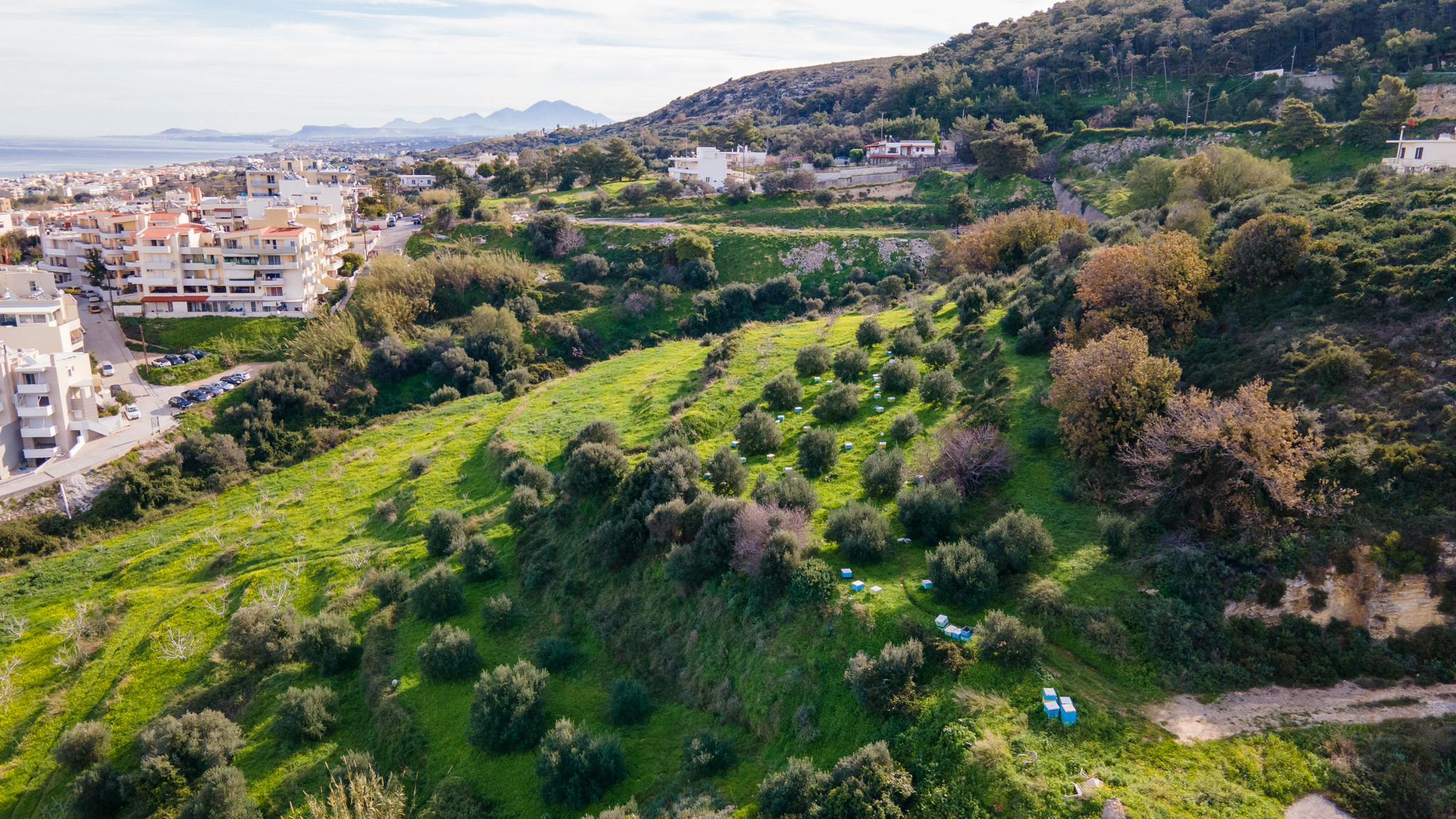 Bee hives from a drone - My, Hive, Bees, Rethymnon, Crete, Dji, DJI Mavic, Drone, The photo, Greece, Island, Longpost