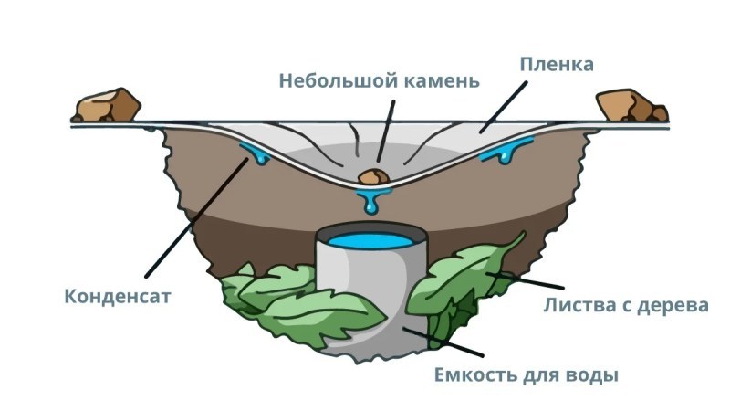 How to get water on a desert island or in a forest or. Seawater desalinator made from a bag, bottle and leaves - My, Survival, Water, Wild tourism, Tourism, Uninhabited island, Life hack, Management, Bottle, Longpost