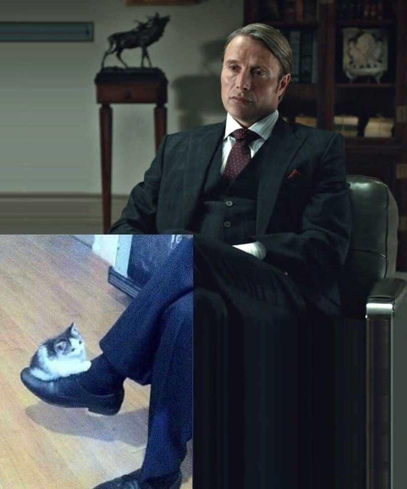 Hannibal - Mads Mikkelsen, cat