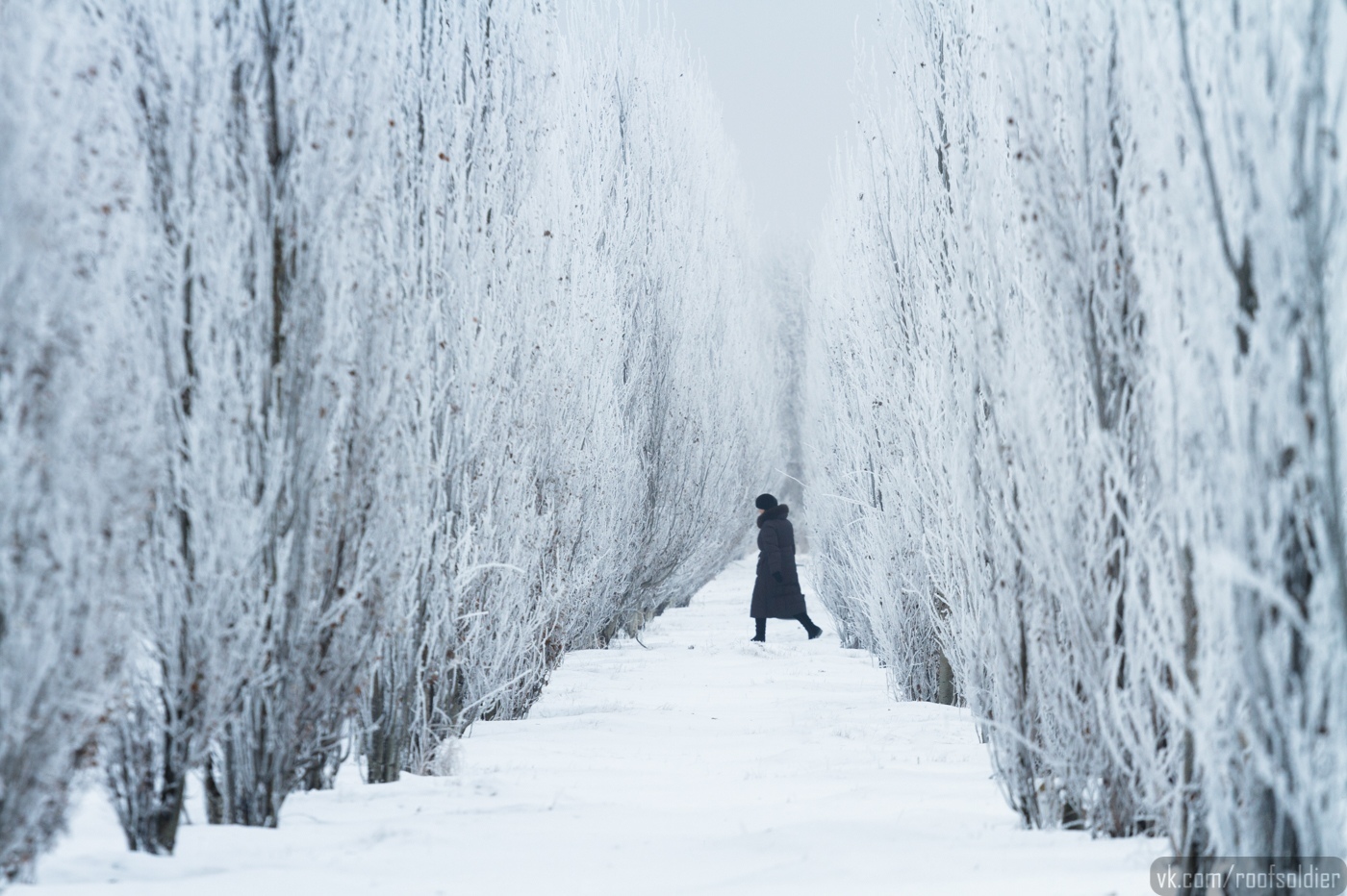 Winter Omsk, walk around Port Arthur - My, Omsk, The photo, Alexey Golubev, Winter, Church, Temple, Architecture, Fuck aesthetics, Street photography, Landscape, Outskirts, Town, Frost, Longpost, Port Arthur