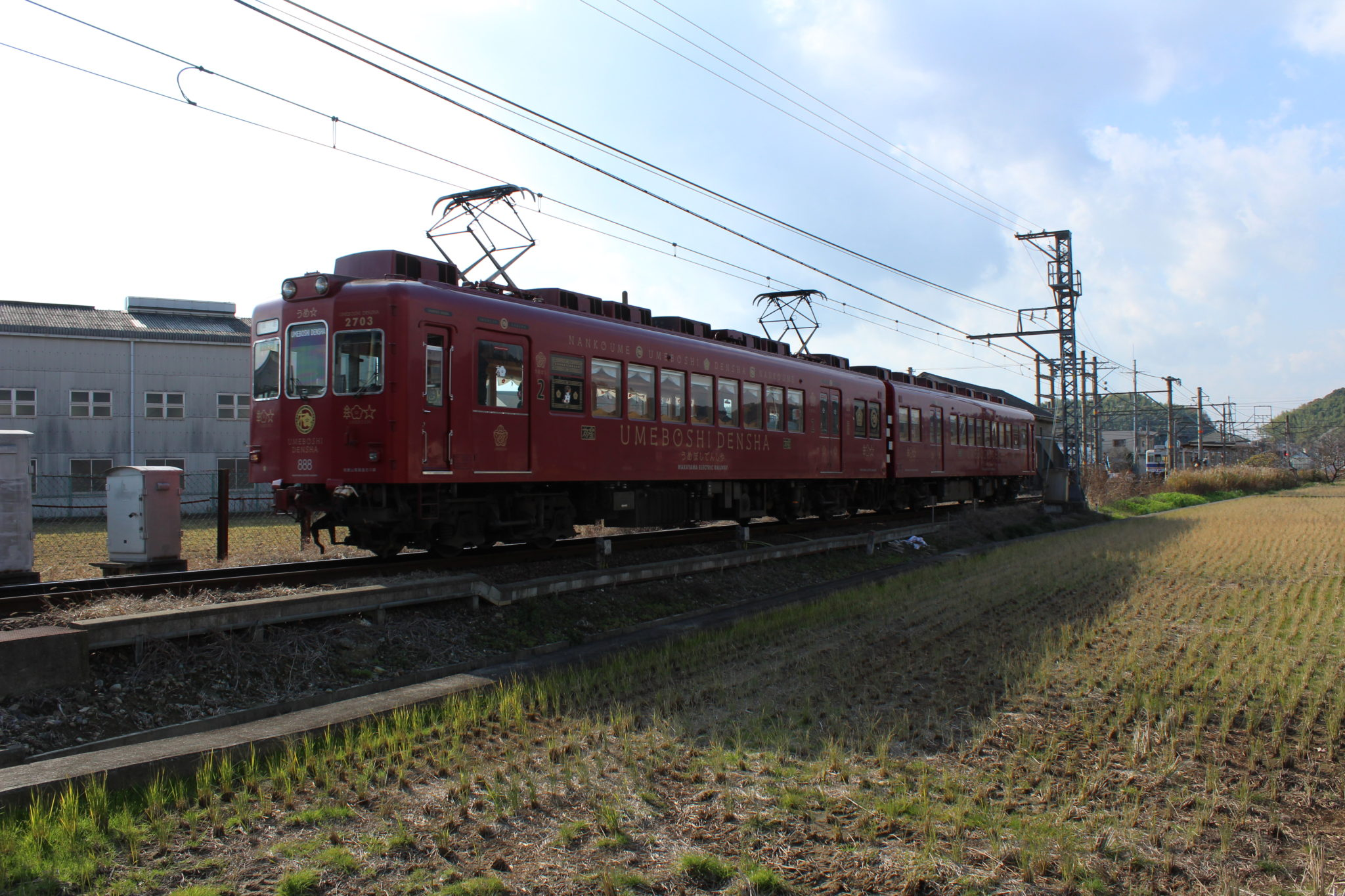 The Samurai Cat Who Helped Save the Japanese Railroad - Railway, Japan, Tricolor cat, A train, Video, Longpost, cat