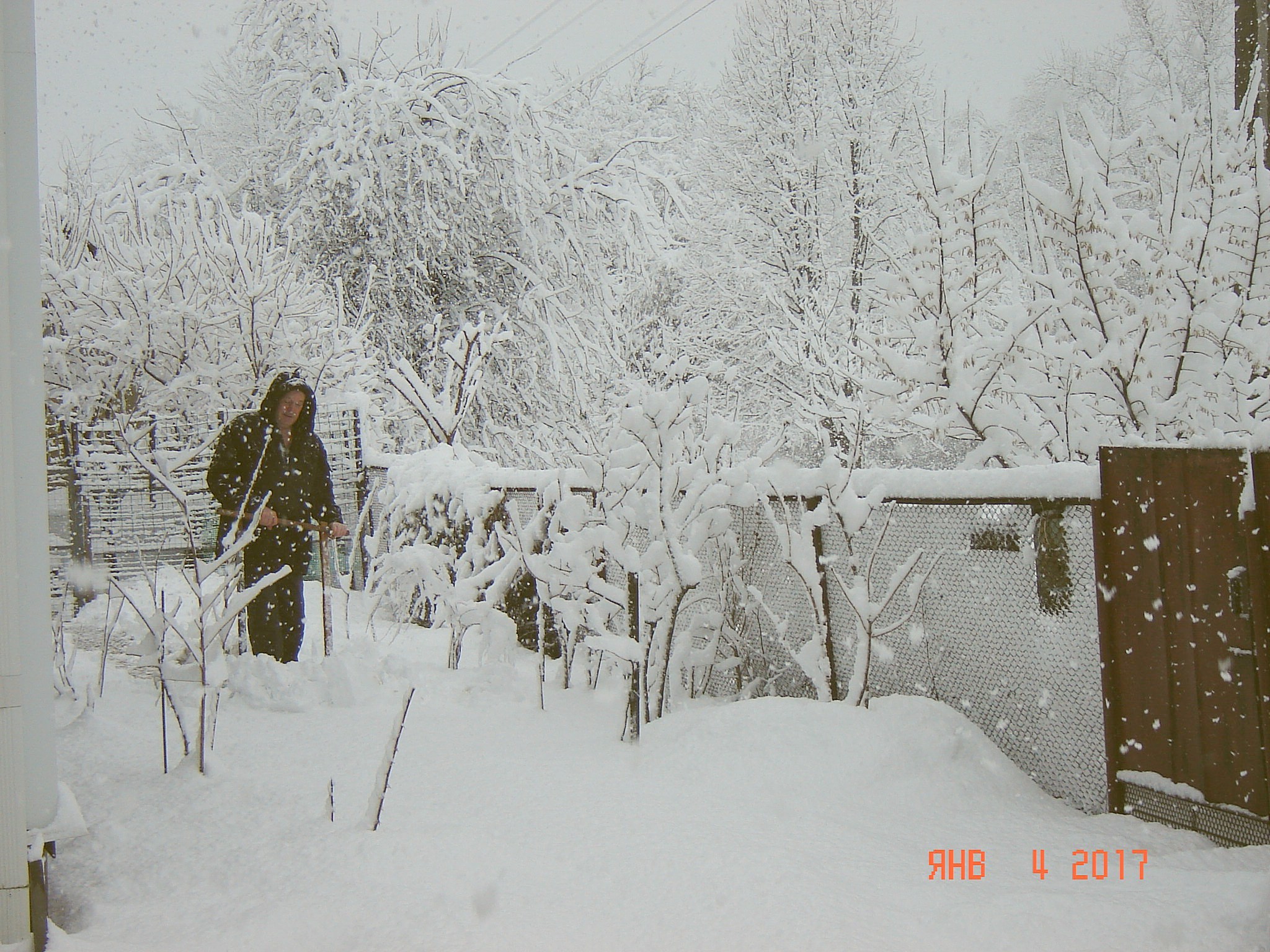 Winter in the Krasnodar region - My, Краснодарский Край, Snow, Longpost