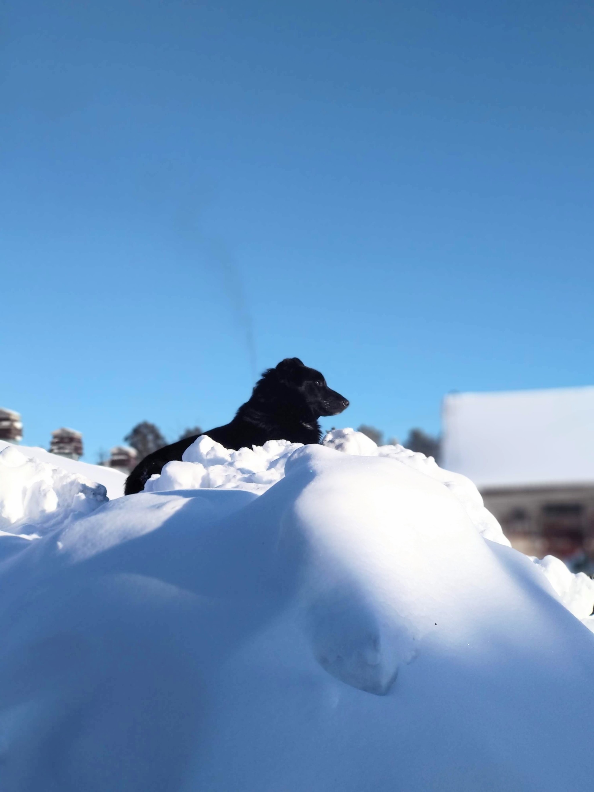 Winter fairy tale on Baikal - My, The photo, Baikal, Goryachinsk, Longpost