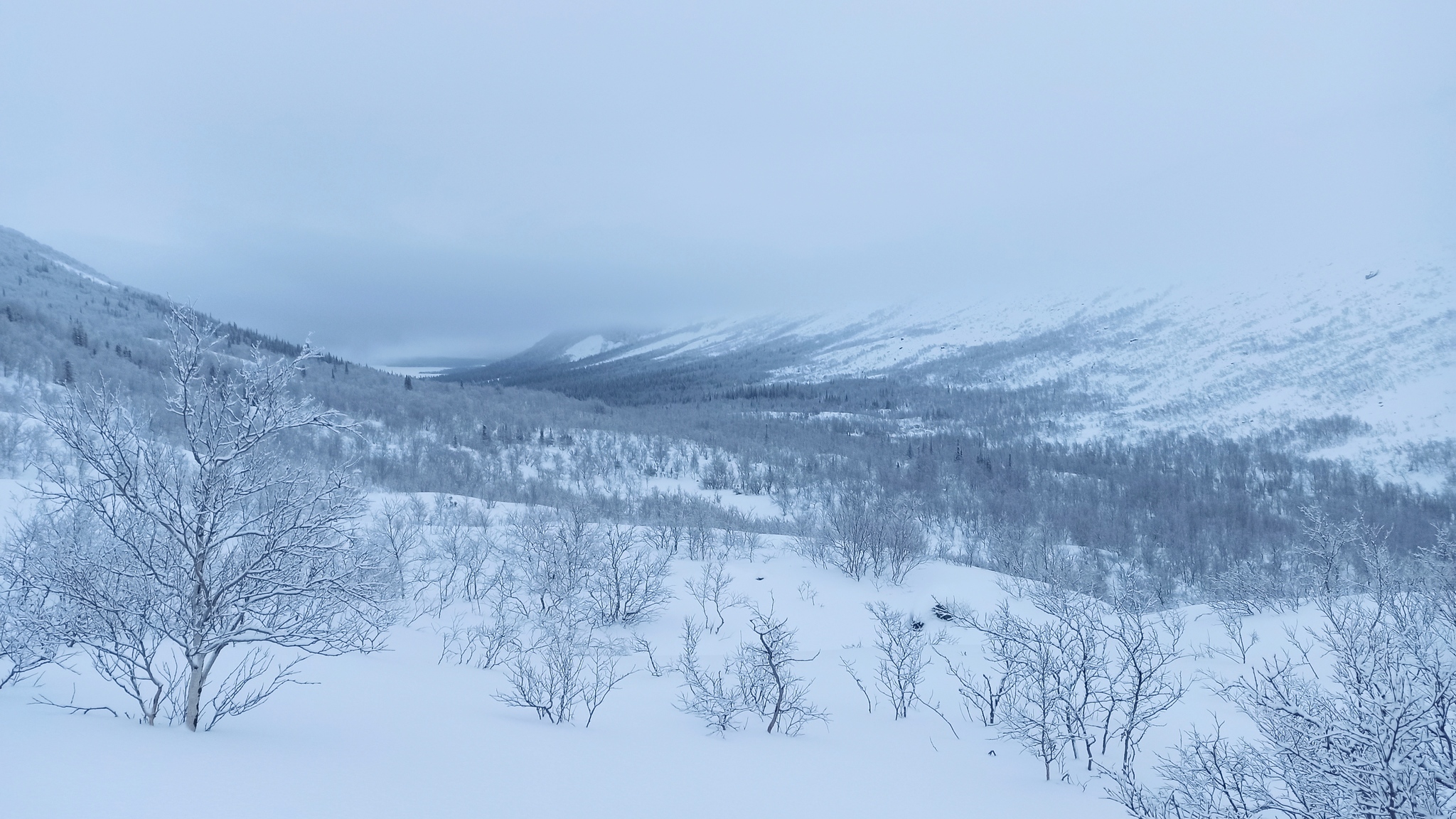 Single winter hike along the Kola Peninsula through the Chivruaysky Pass | January 1-6, 2021 - 101 km - My, Kola Peninsula, Lovozero, Lovozero tundra, The mountains, Hike, Travels, Kirovsk, Tracking, Sport, Video, Longpost