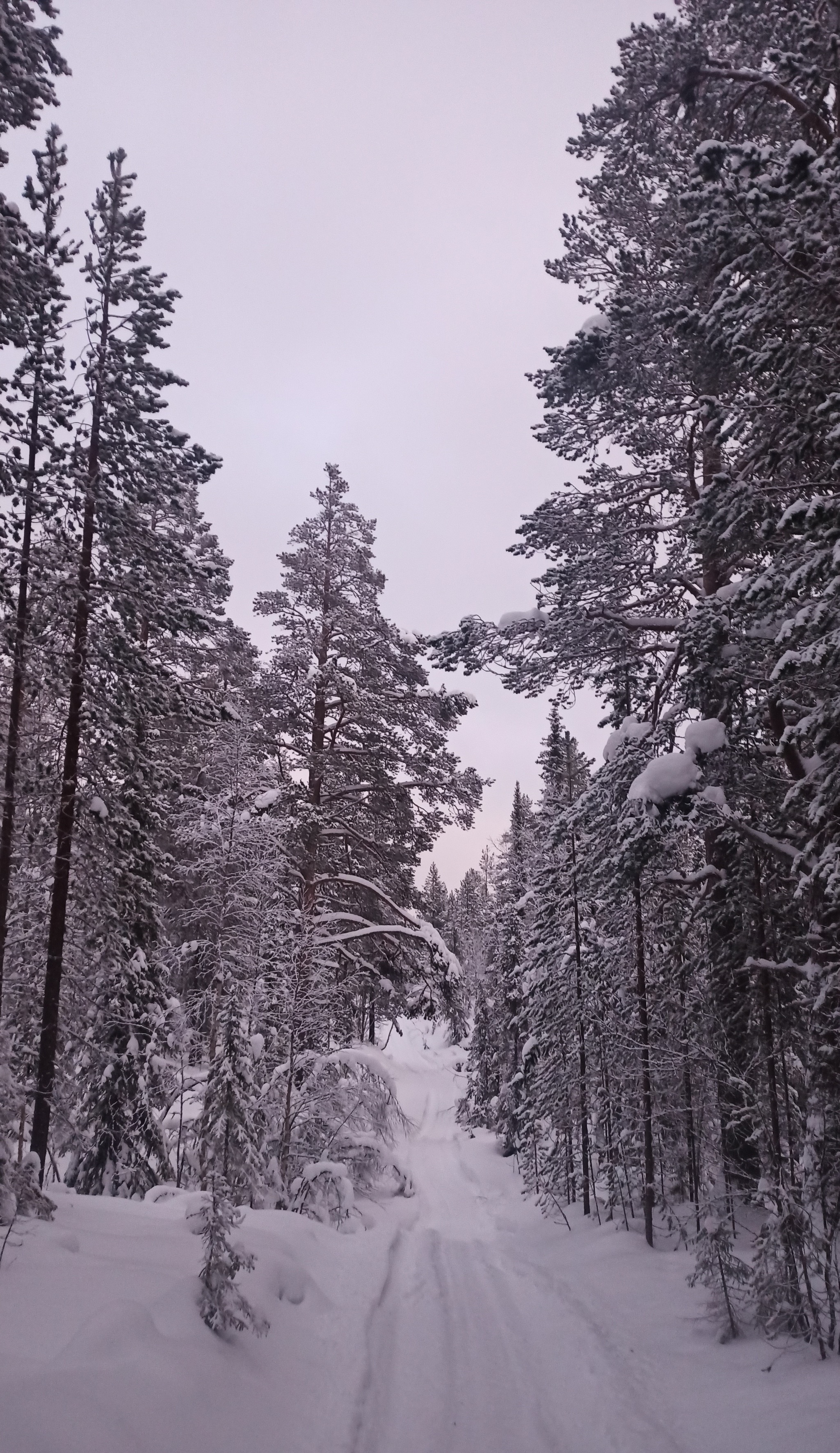 Single winter hike along the Kola Peninsula through the Chivruaysky Pass | January 1-6, 2021 - 101 km - My, Kola Peninsula, Lovozero, Lovozero tundra, The mountains, Hike, Travels, Kirovsk, Tracking, Sport, Video, Longpost