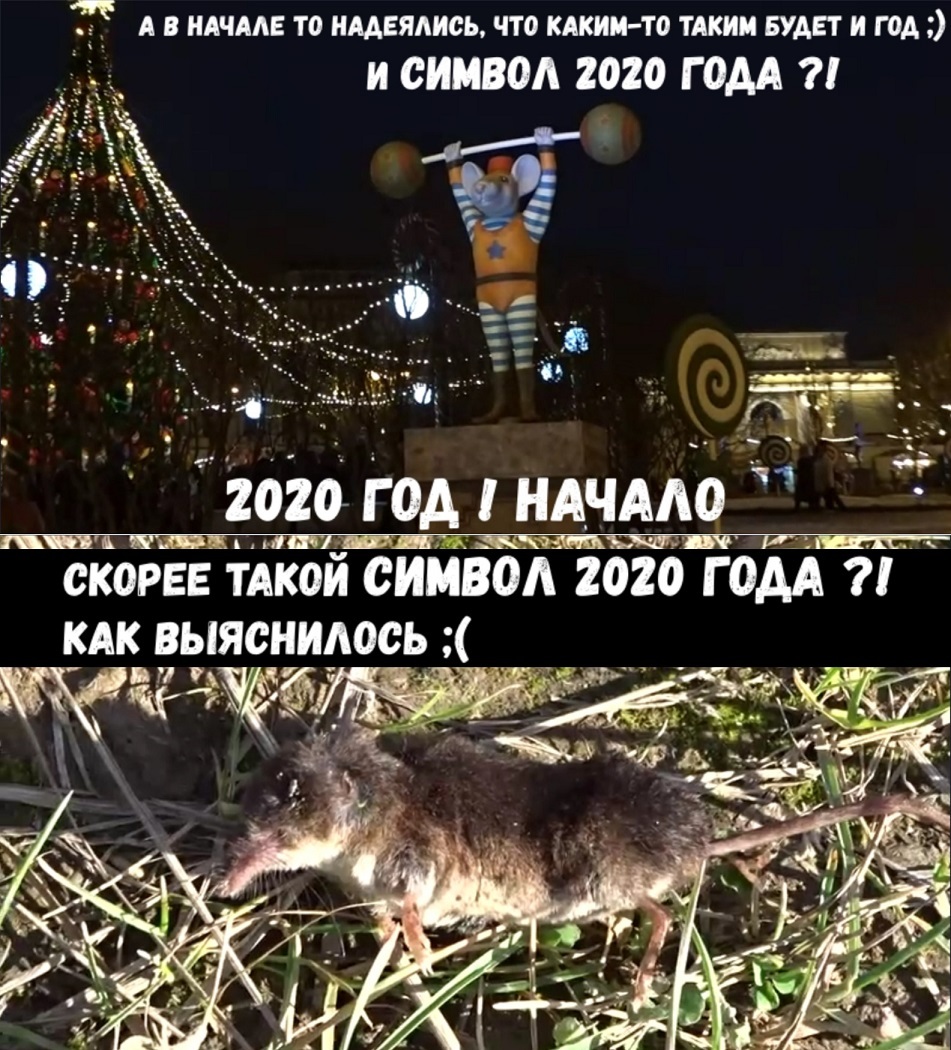 2020 Remembering the Year of the Rat (Mouse) or about the Symbols of 2020! (after running a little) Video joke with a bit of humor - My, 2020, Symbols and symbols, Video, Longpost, Symbol of the year