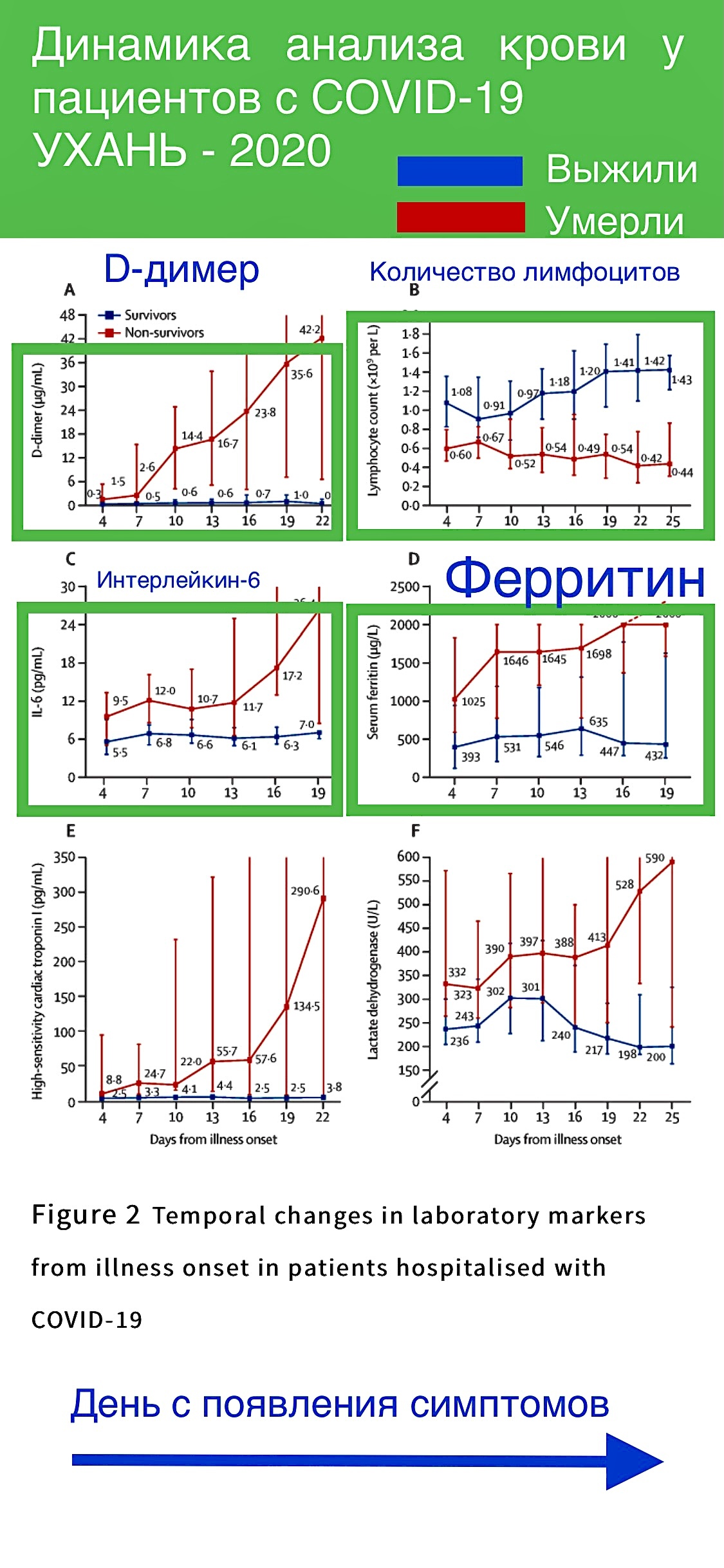 Пара слов об анализе крови при ковиде - Моё, Коронавирус, Лечение, Длиннопост