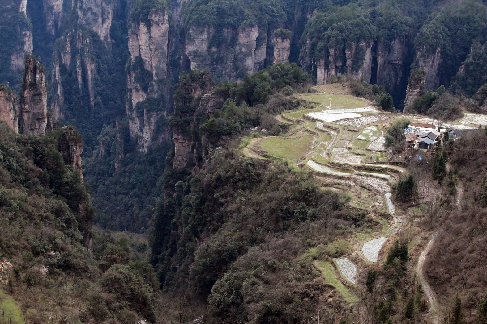 Zhangjiajie - Soaring Mountains (China) - My, China, Travels, Zhangjiajie, Longpost