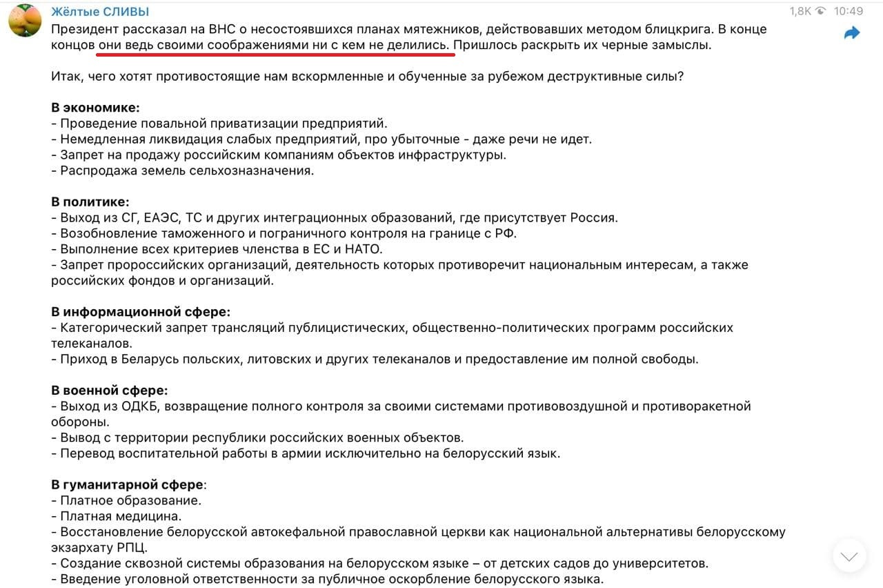 Программа оппозиции, за которую ей столько достается, придумана властью - Протесты в Беларуси, Республика Беларусь, Политика, Александр Лукашенко