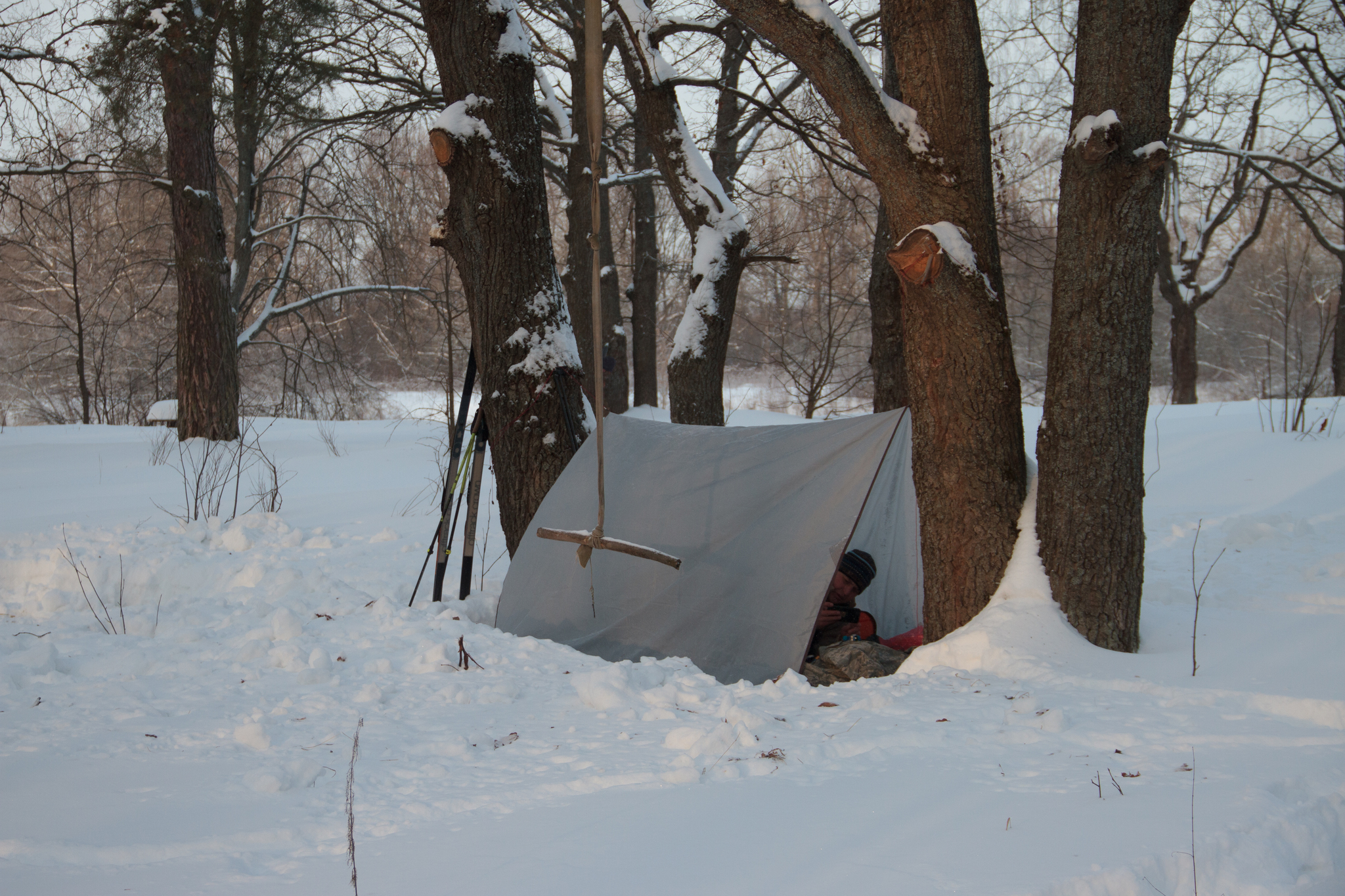 Morning in the winter forest - My, Winter, Winter hike, Nature, Longpost