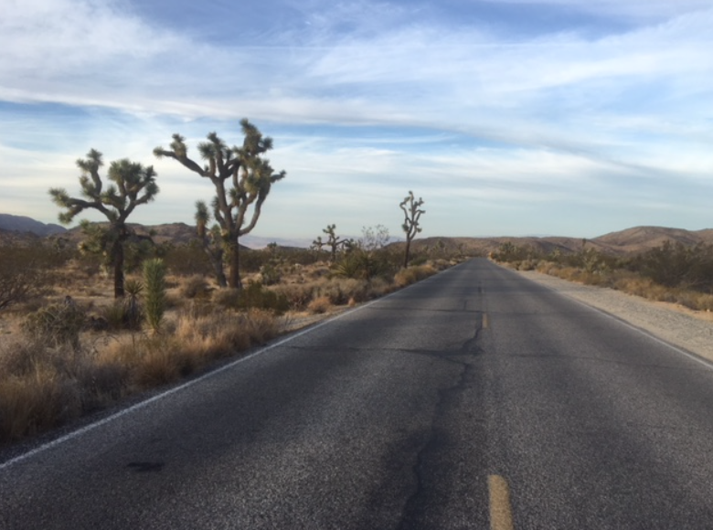 Independent blonde driving in the States 4800 km. Part Eight - My, Road trip, Travels, Arizona, California, USA, Longpost