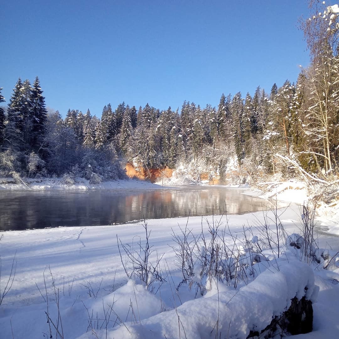 Forestry matters - My, Latvia, National park, Gauja, Longpost