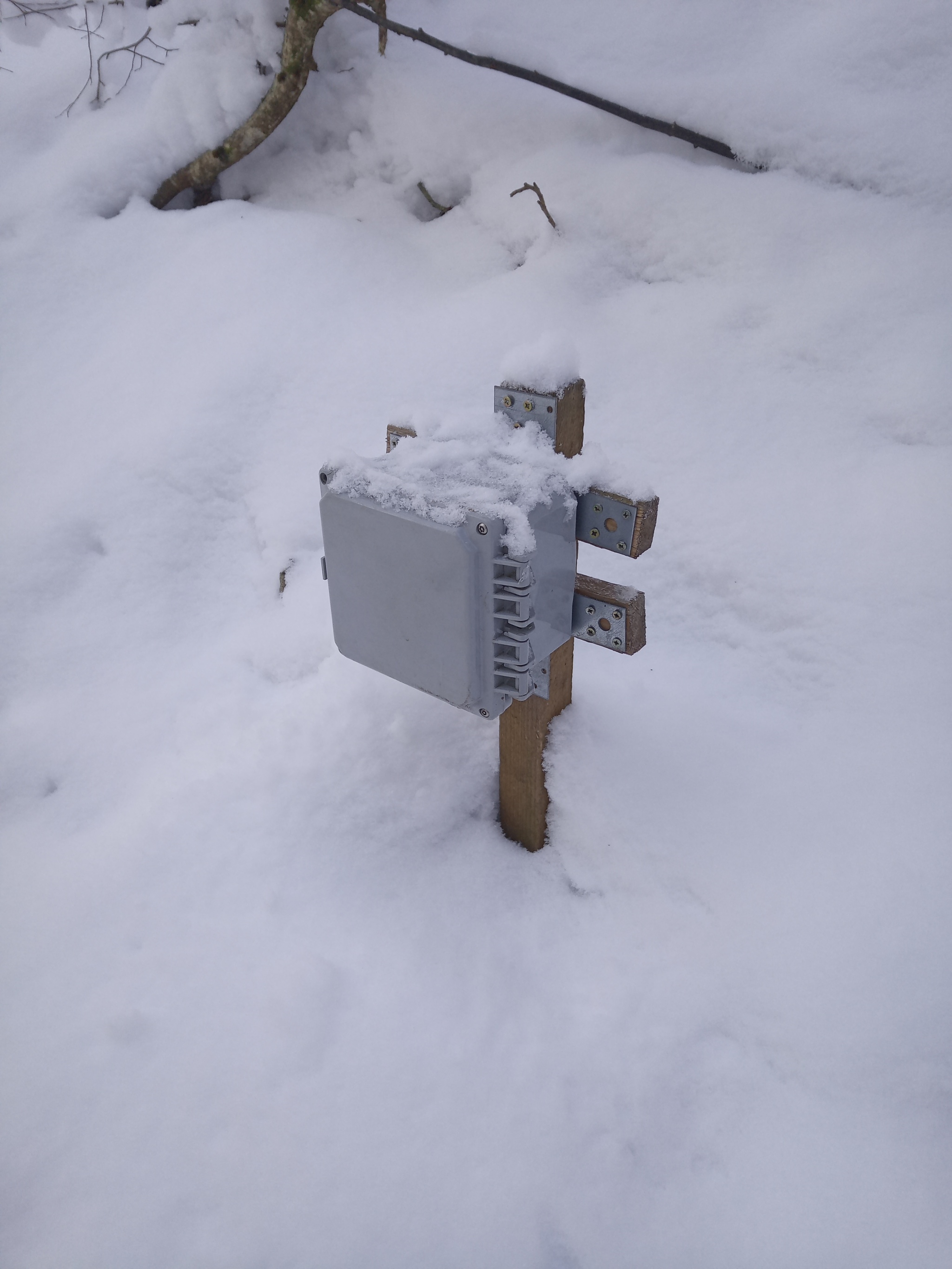 Forestry matters - My, Latvia, National park, Gauja, Longpost