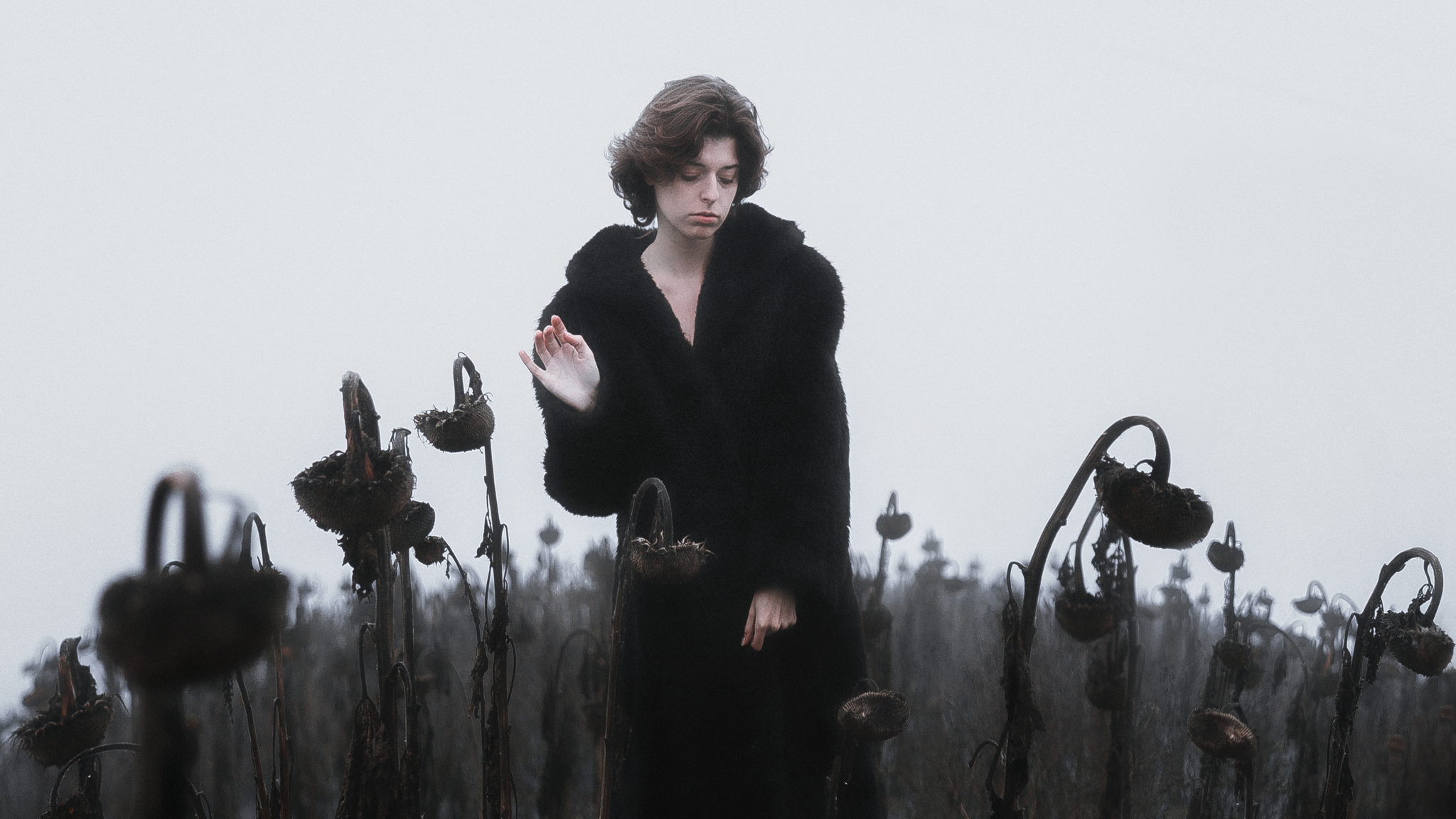 Plague - My, Fog, Sunflower, Field, Models, Photographer, PHOTOSESSION, Winter, Russia, Longpost