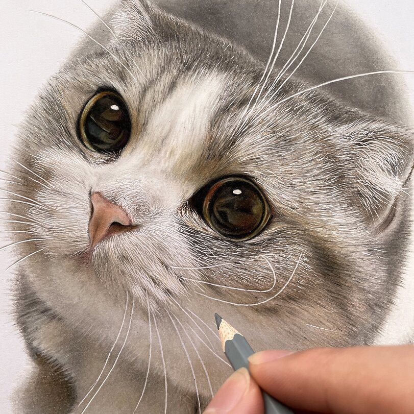 Drawing - Pencil, cat, Drawing, Hyperrealism