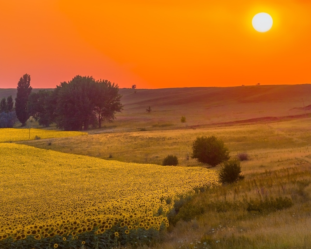 Warm sunset in the Stavropol region. The sun is rising in Russia - Sunset, The photo, Russia, Top, Longpost, Nature