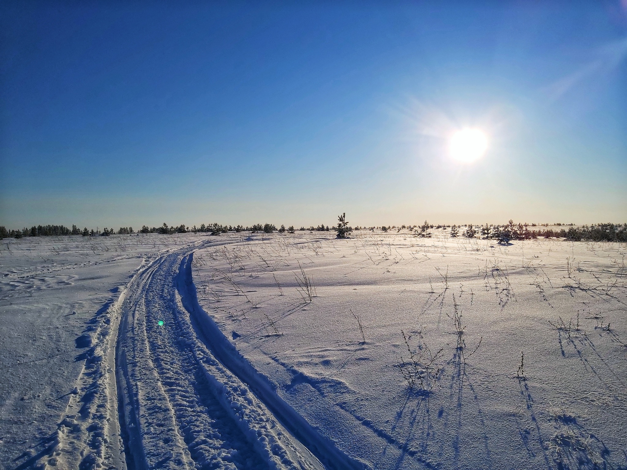 Winter - My, Winter, Ski track, Field, Longpost