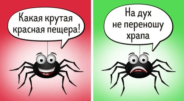 5 заблуждений о животных - Интересное, Факты, Животные, Паук, Человек, Утка, Длиннопост