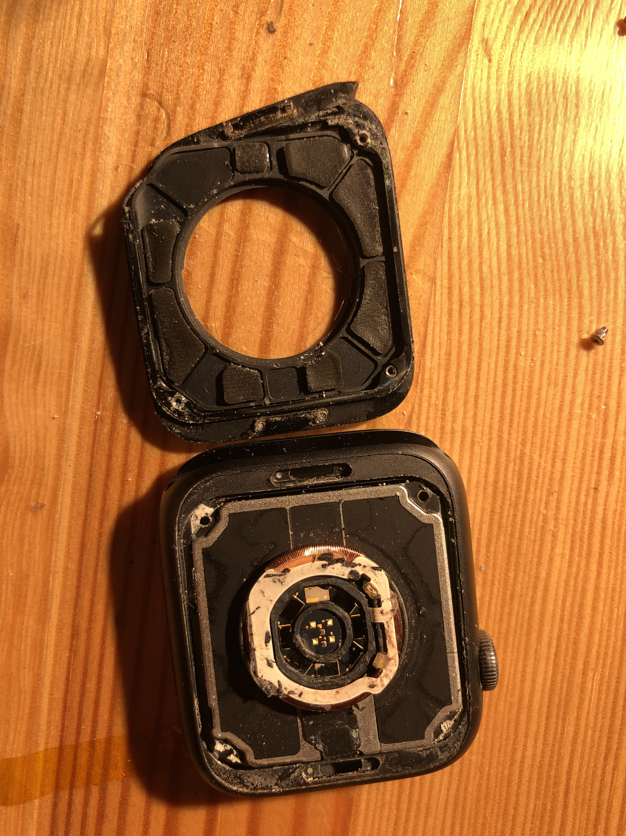 Apple Watch 4 rear glass replacement - My, Apple Watch, Repair, With your own hands, Longpost