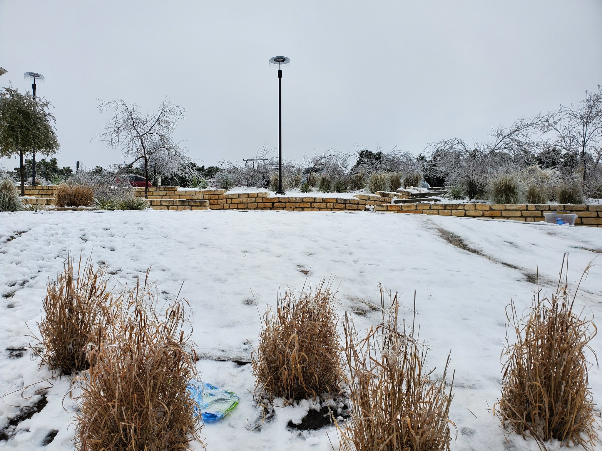 Hello from frozen Texas - My, Texas, Winter, Longpost, Catastrophe