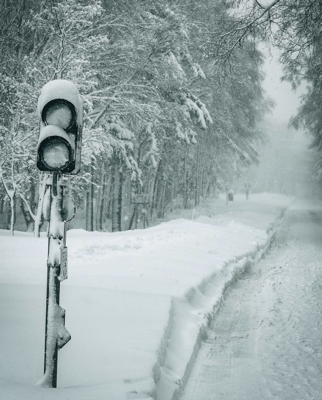 Gagarin Park in Yuzhno-Sakhalinsk snowstormed - Blizzard, Snow, Bad weather, Sakhalin, The park, Snowfall, Yuzhno-Sakhalinsk, Longpost, The photo