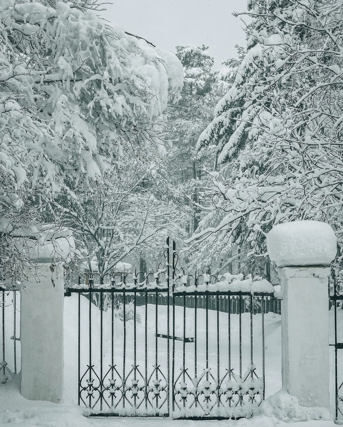 Gagarin Park in Yuzhno-Sakhalinsk snowstormed - Blizzard, Snow, Bad weather, Sakhalin, The park, Snowfall, Yuzhno-Sakhalinsk, Longpost, The photo