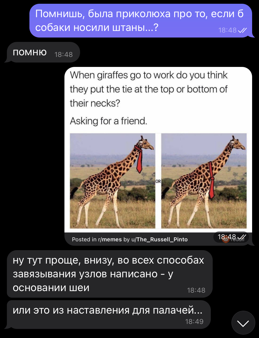 Friends are such friends! - My, Reddit, Humor, Strange humor, Correspondence, Giraffe, Tie