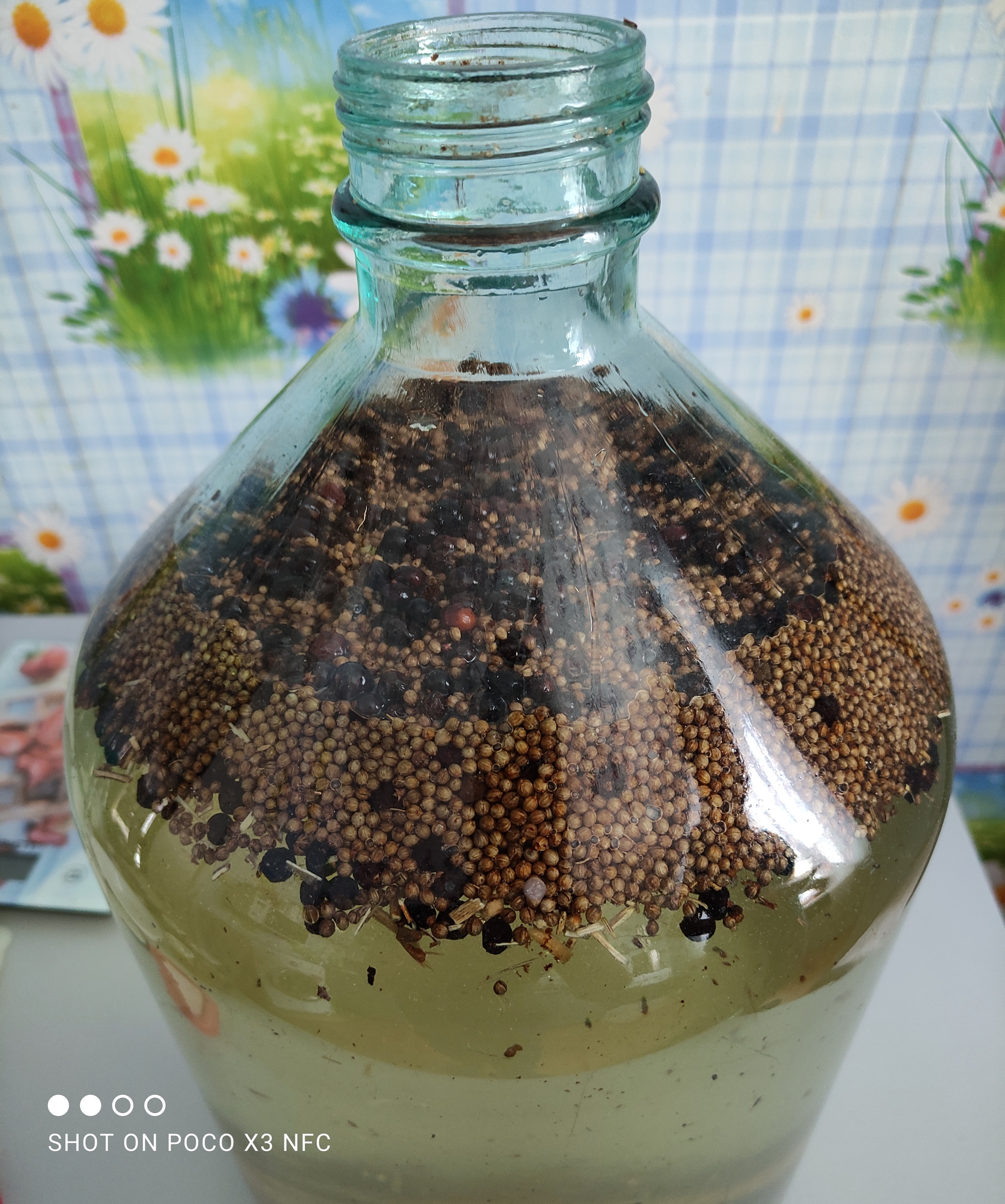 Homemade gin - My, Gin, Recipe, Juniper, Moonshine, Longpost