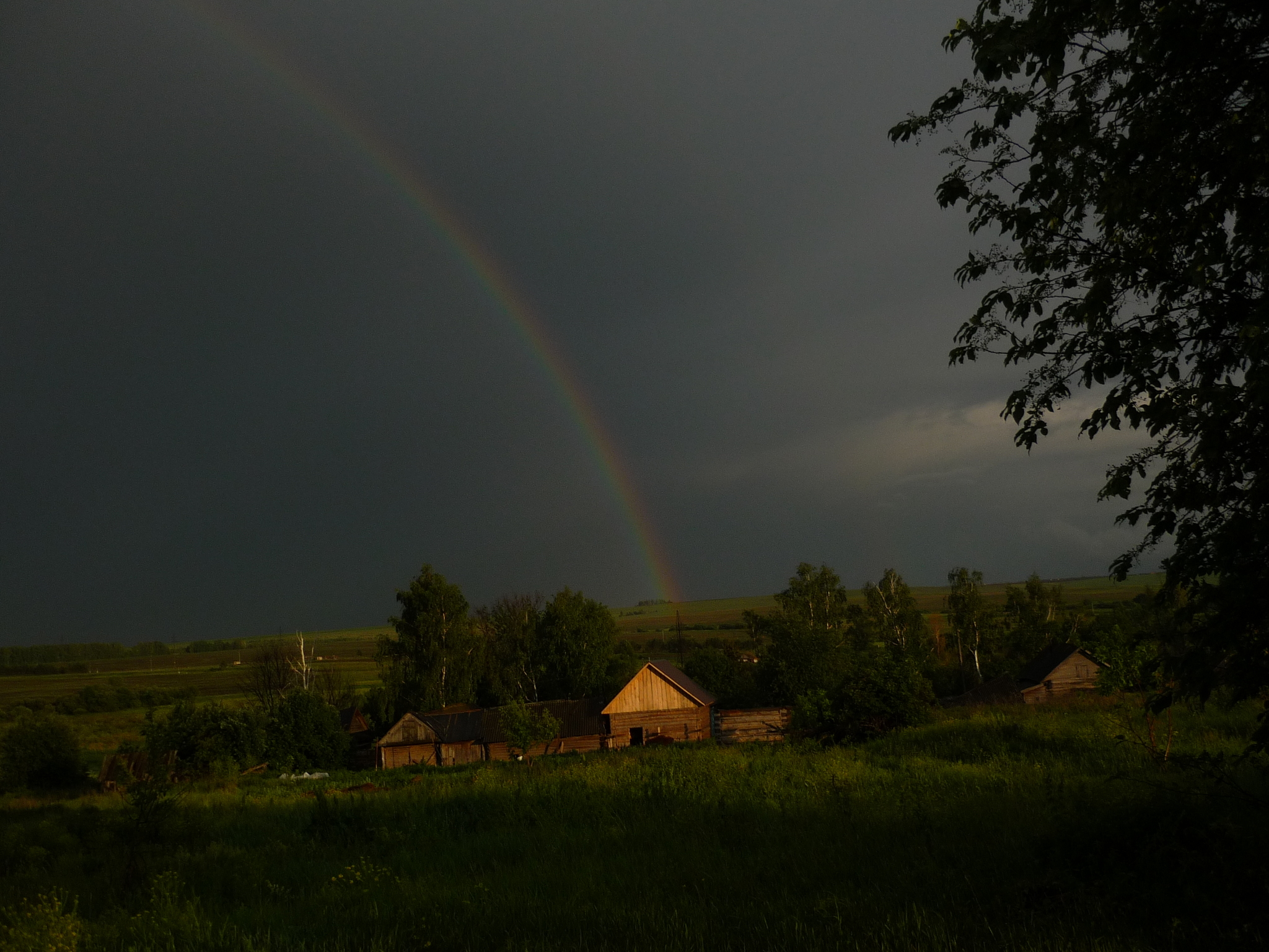 Reply to the post “My experience of buying a summer house at 20 years old” - My, Dacha, Plot, Purchase, Reply to post, Longpost